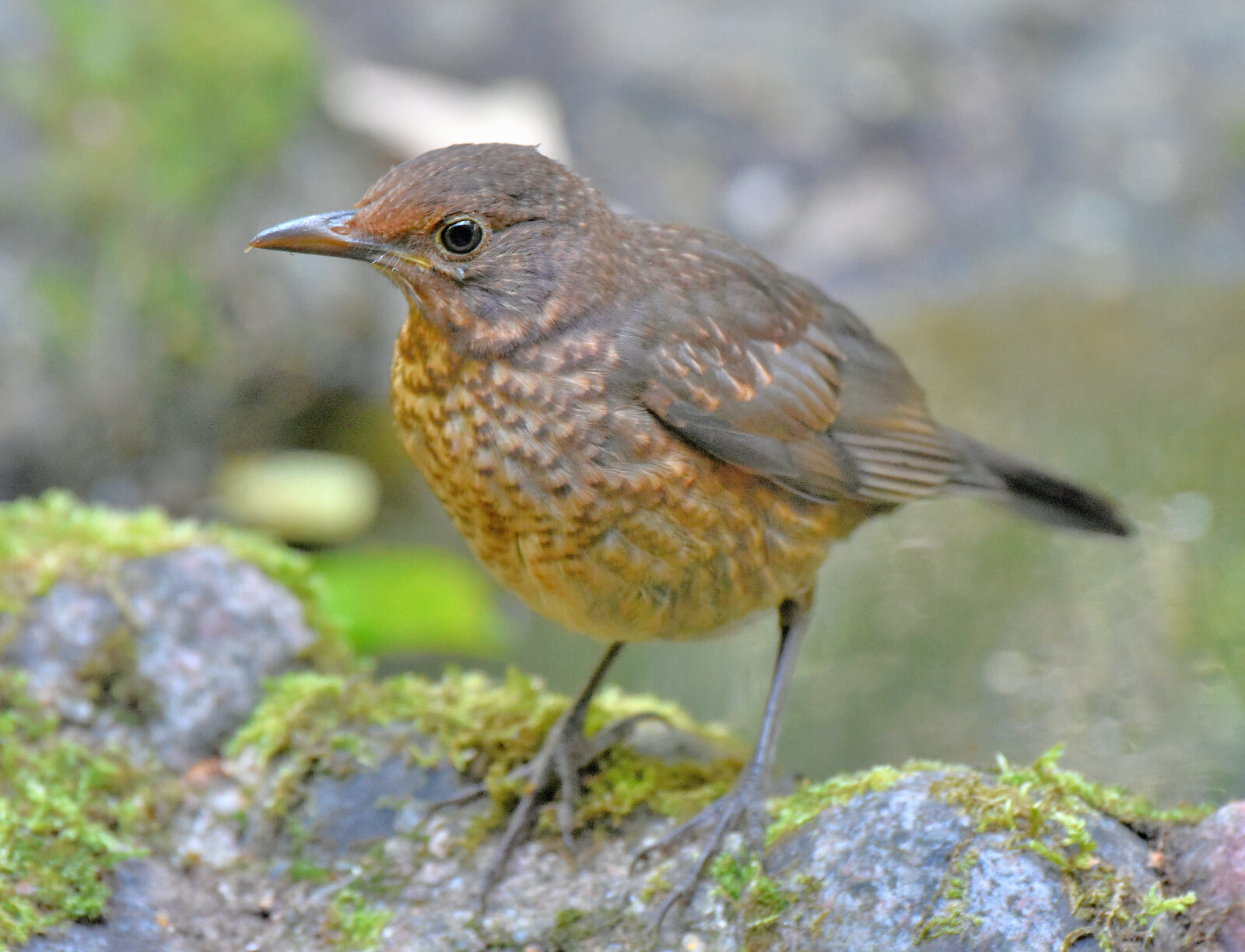Valokuvaaja: Reijo Juurinen