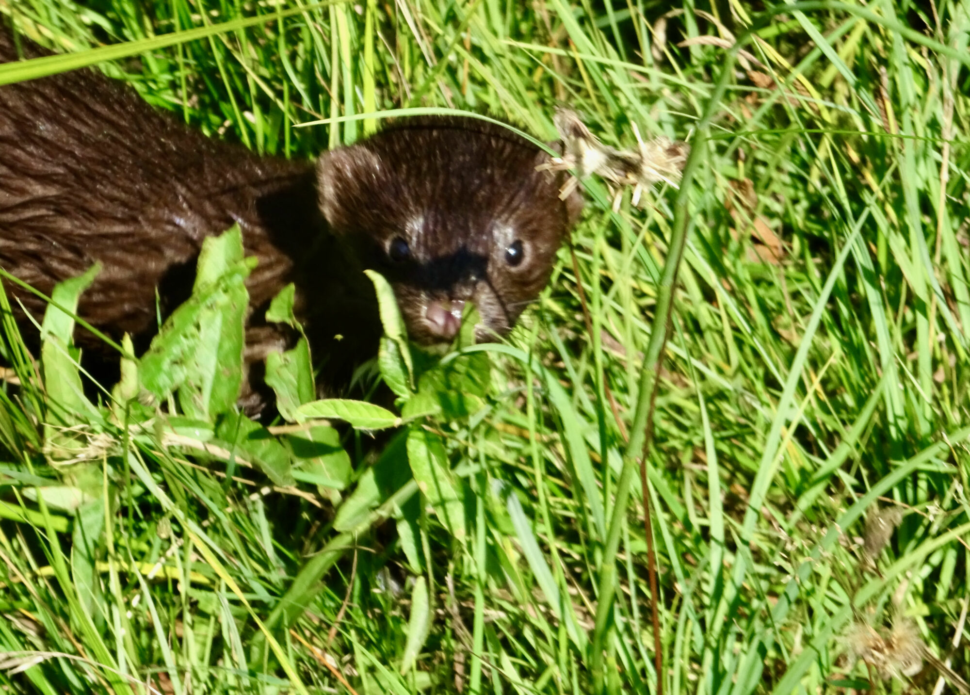 Valokuvaaja: Liisa Niiva-Korpela