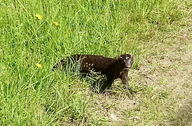 Valokuvaaja: Liisa Niiva-Korpela