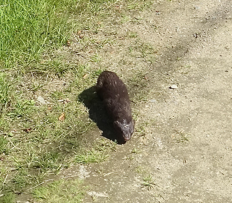 Valokuvaaja: Liisa Niiva-Korpela