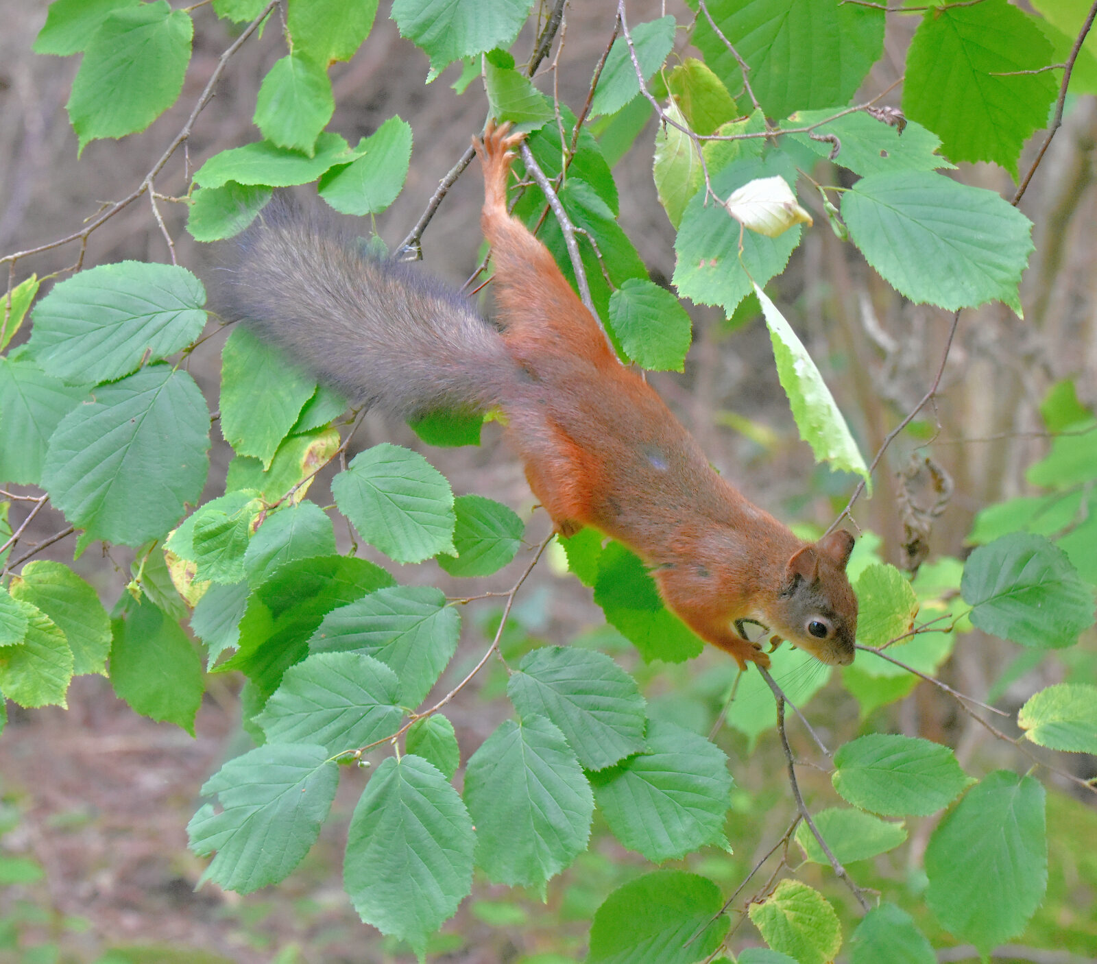 Valokuvaaja: Reijo Juurinen