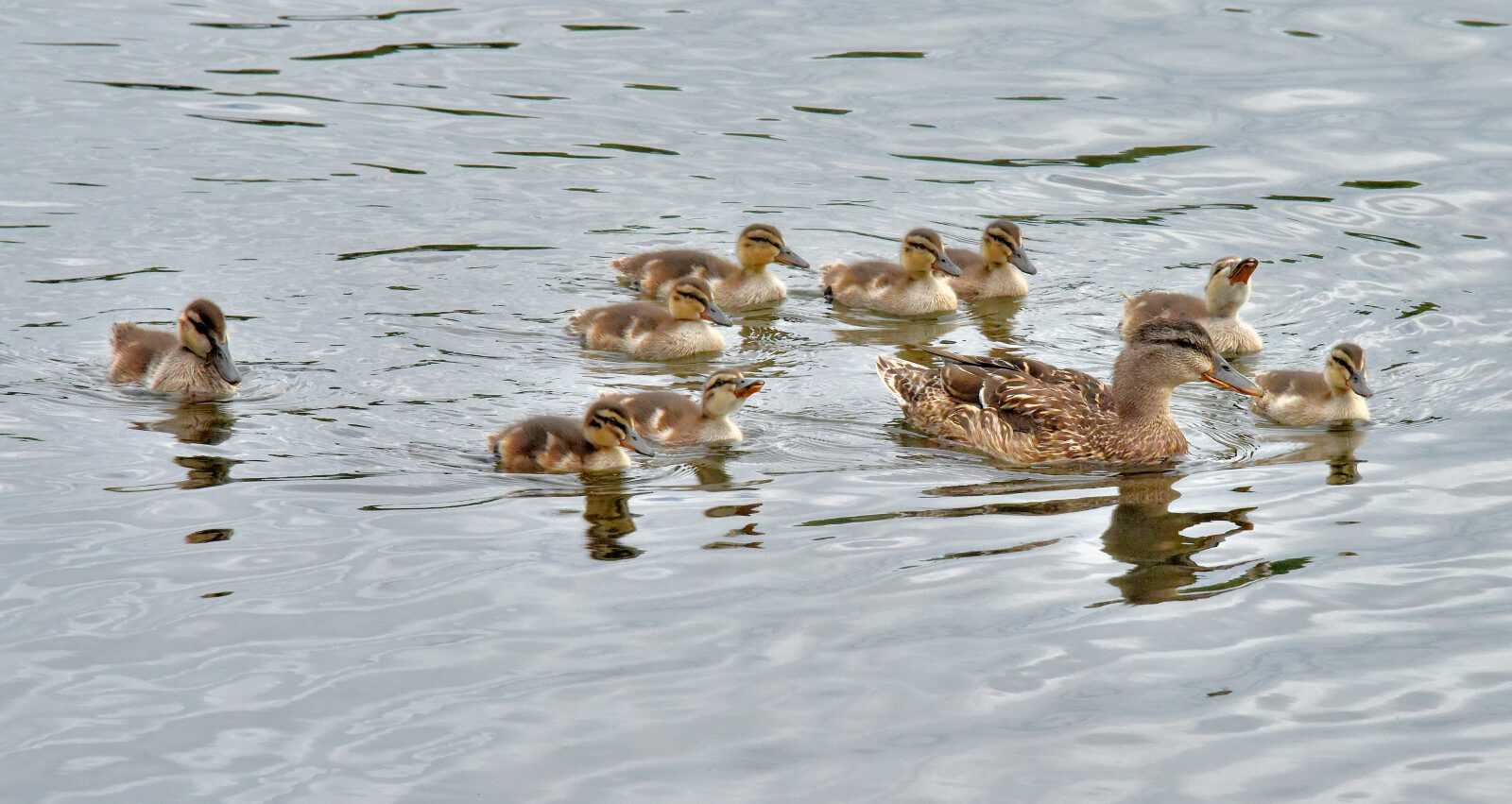 Valokuvaaja: Reijo Juurinen