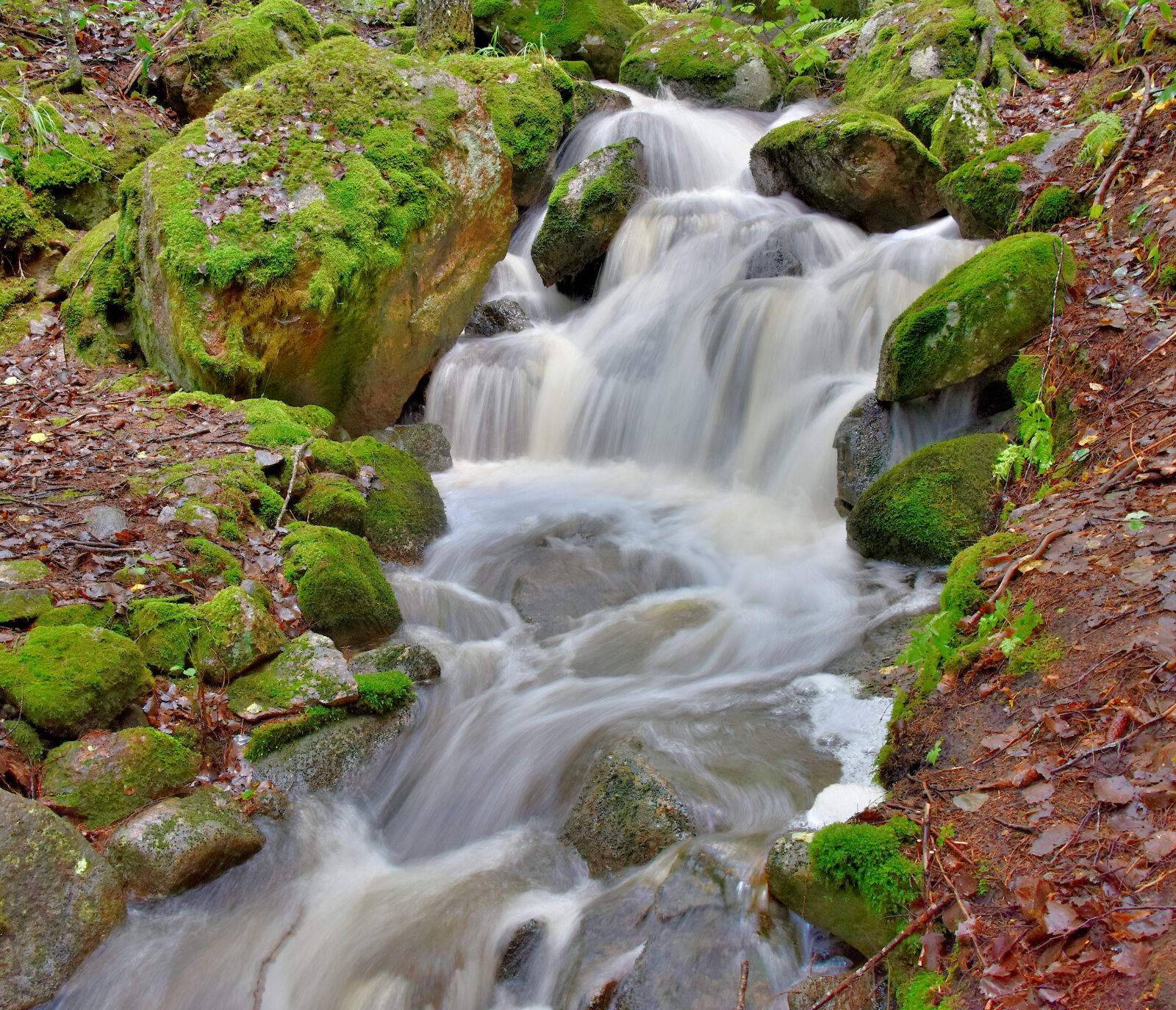 Valokuvaaja: Reijo Juurinen Valokuvaaja: Reijo Juurinen