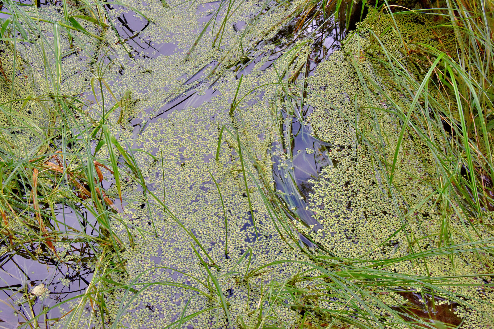 Valokuvaaja: Reijo Juurinen Valokuvaaja: Reijo Juurinen