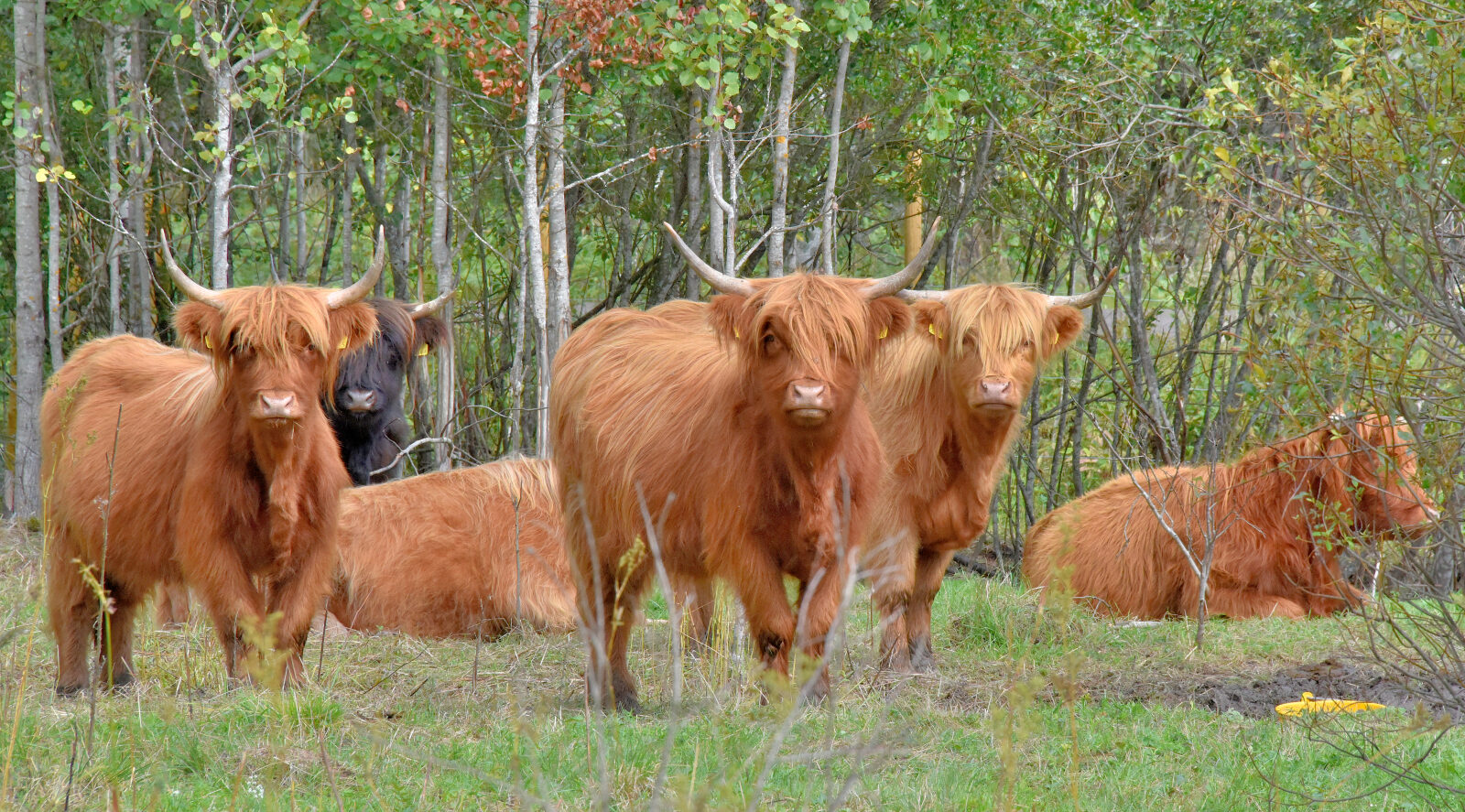 Valokuvaaja: Reijo Juurinen