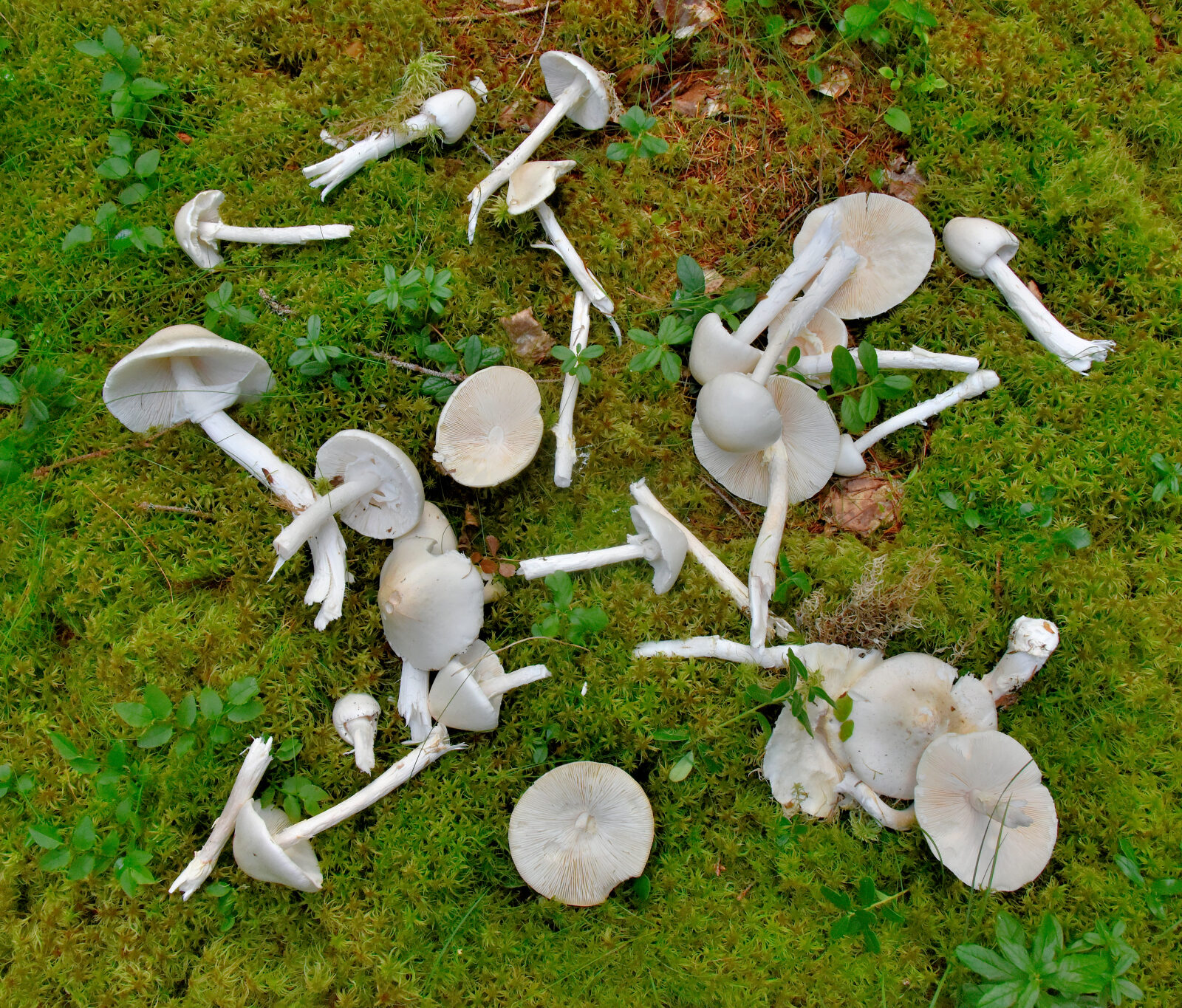 Valokuvaaja: Reijo Juurinen