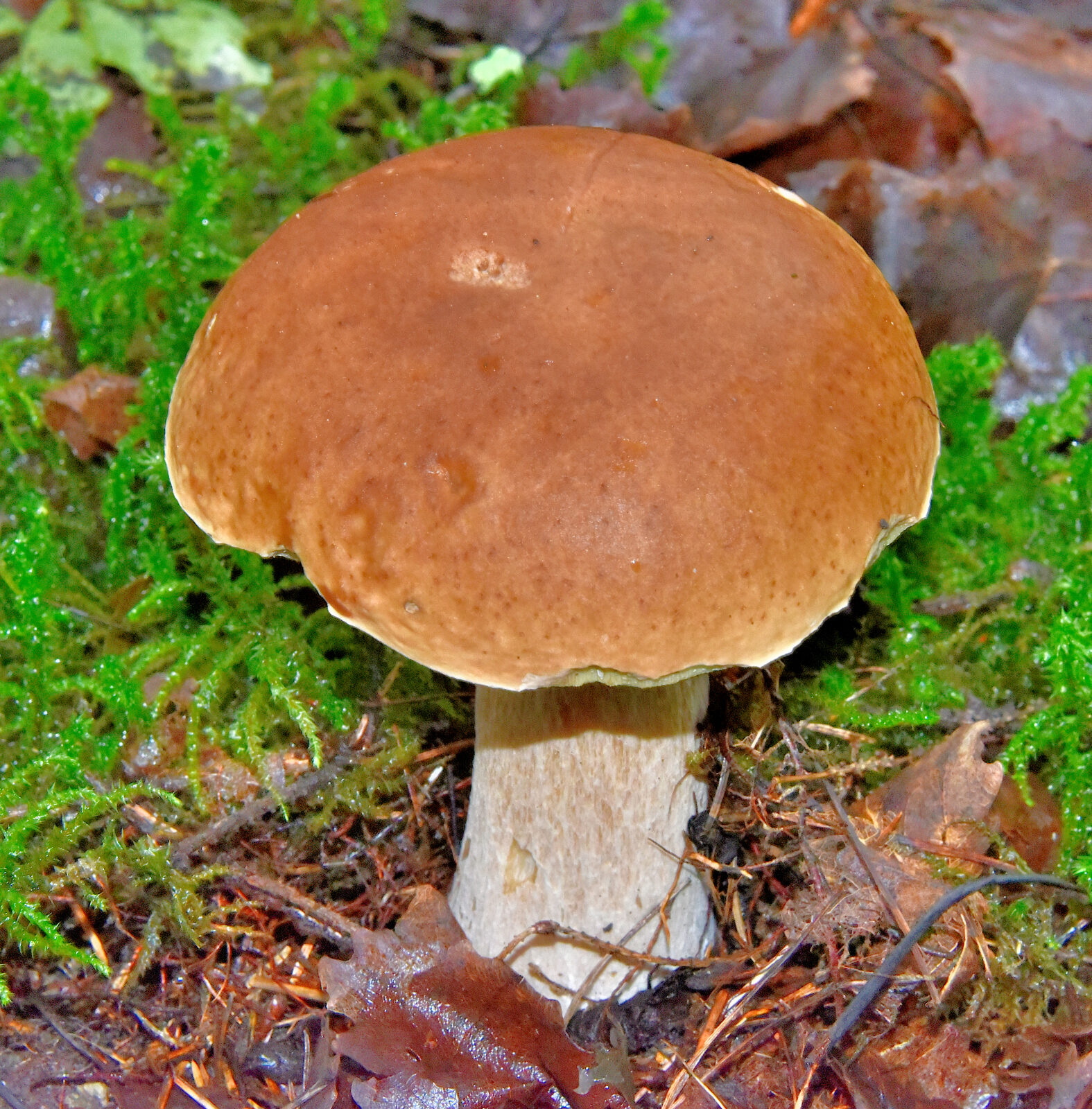 Valokuvaaja: Reijo Juurinen