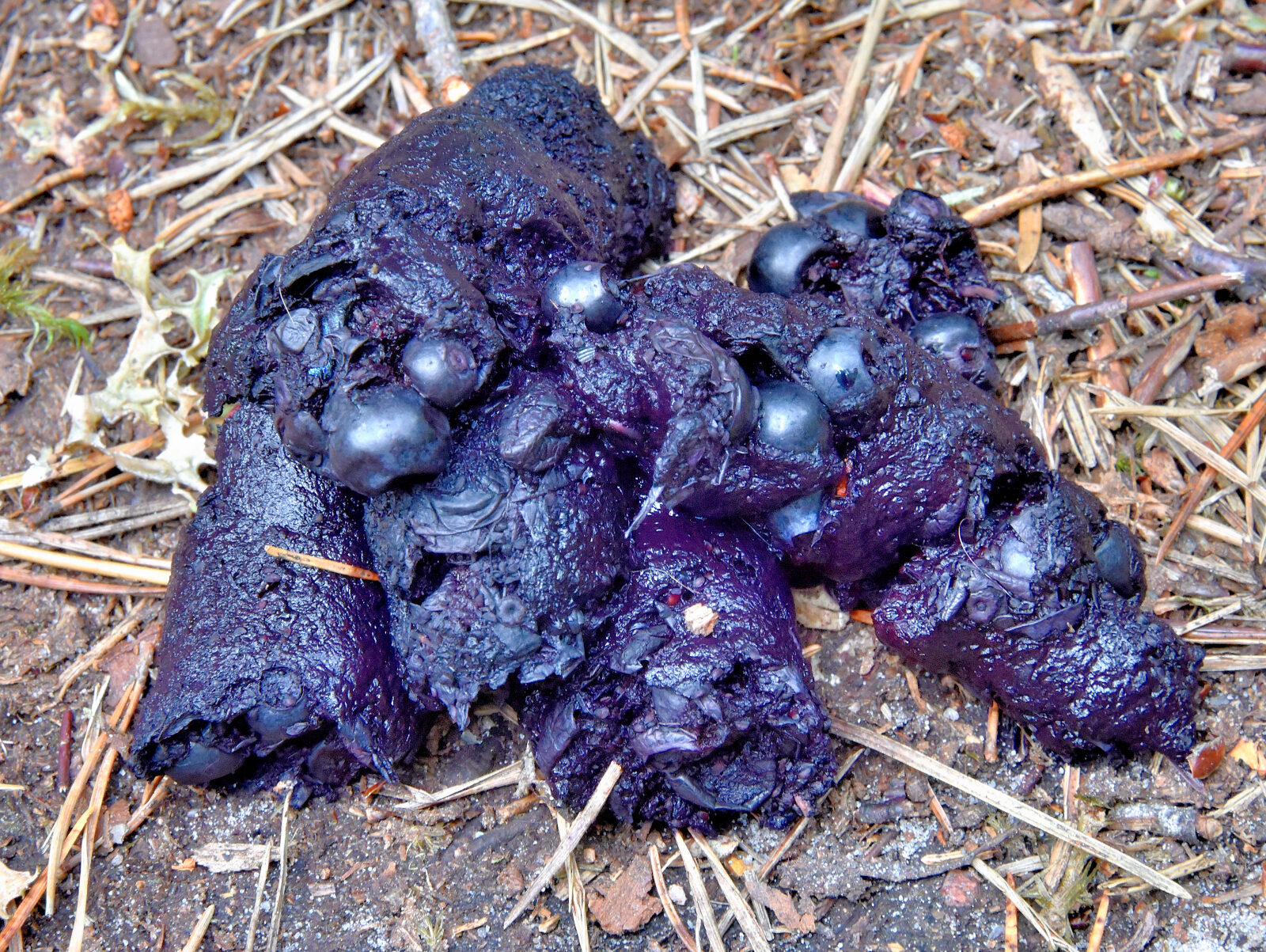 Valokuvaaja: Reijo Juurinen