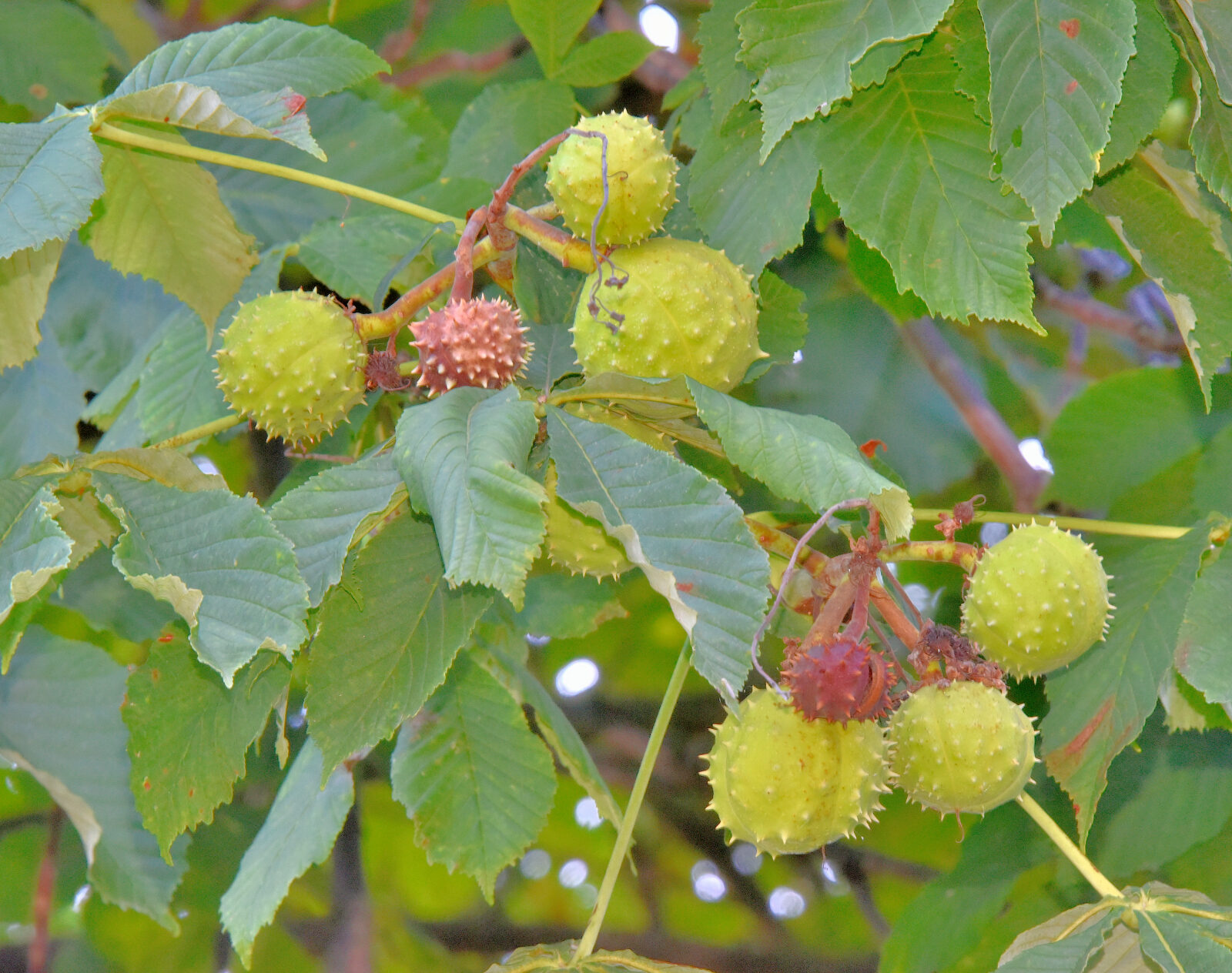 Valokuvaaja: Reijo Juurinen