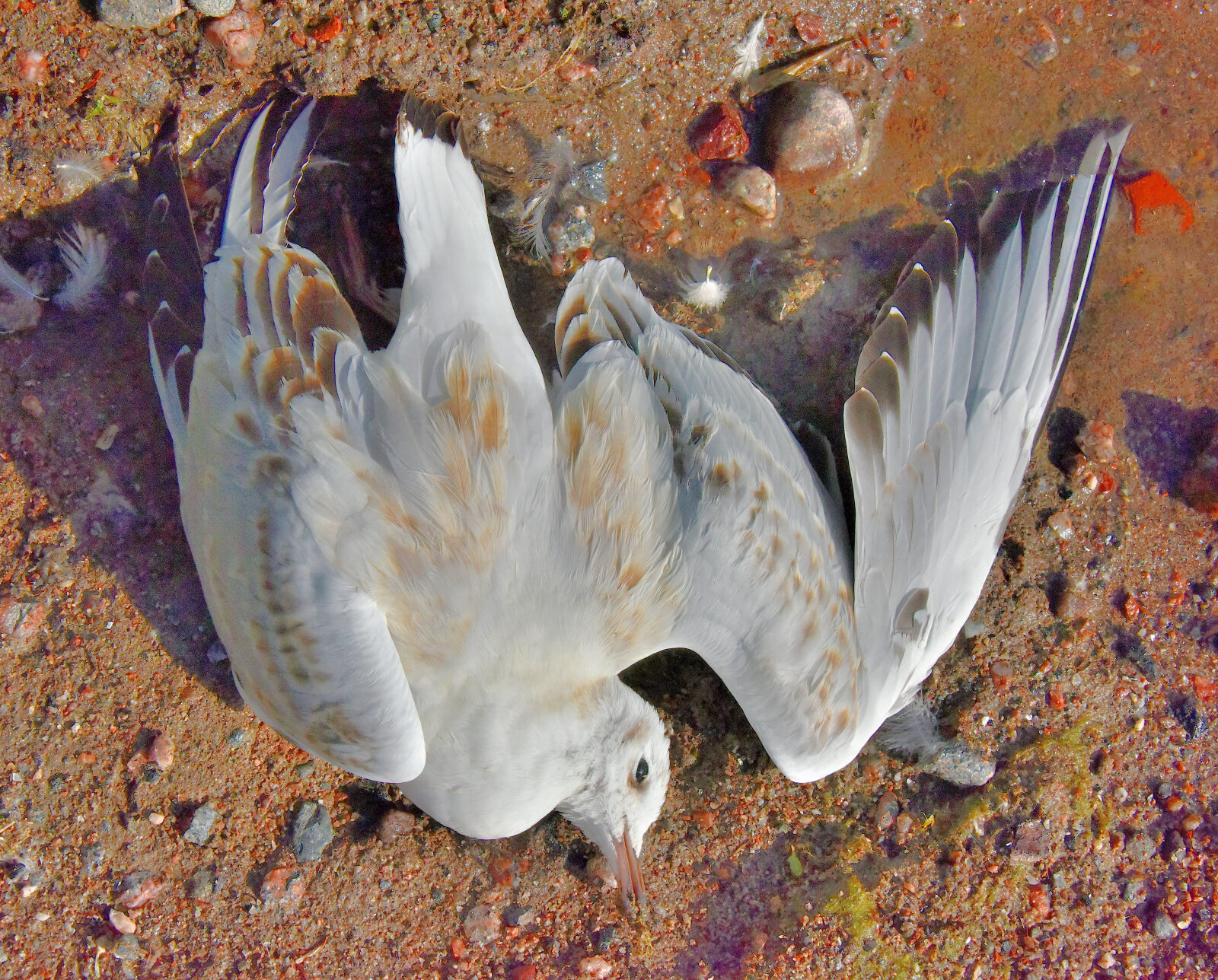 Valokuvaaja: Reijo Juurinen