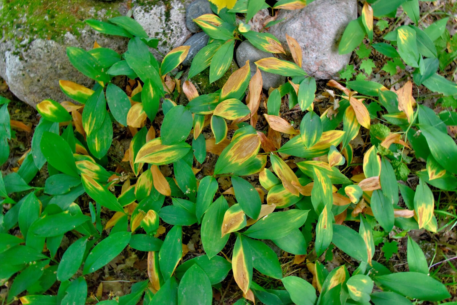 Valokuvaaja: Reijo Juurinen