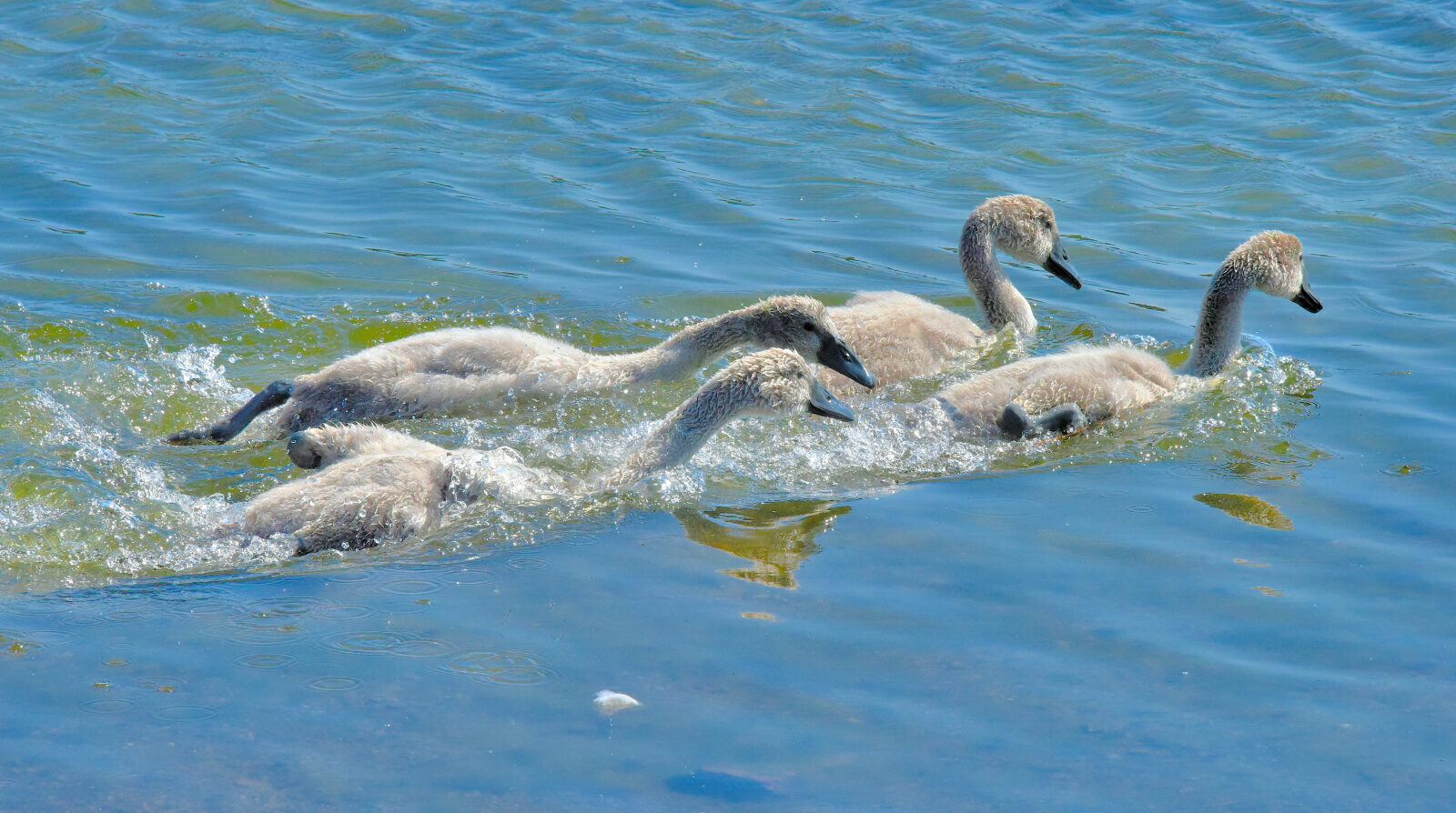 Valokuvaaja: Reijo Juurinen