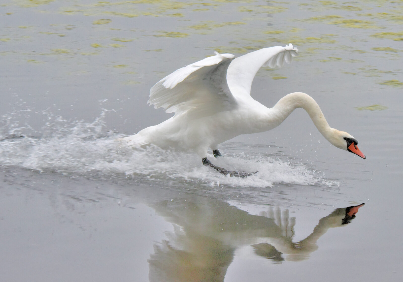 Valokuvaaja: Reijo Juurinen