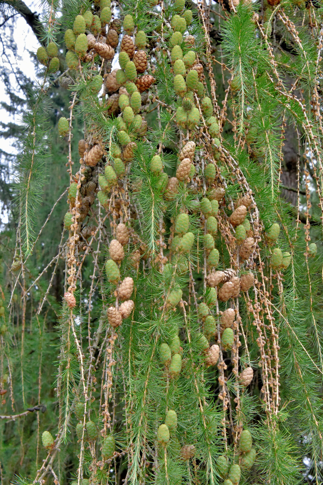 Valokuvaaja: Reijo Juurinen