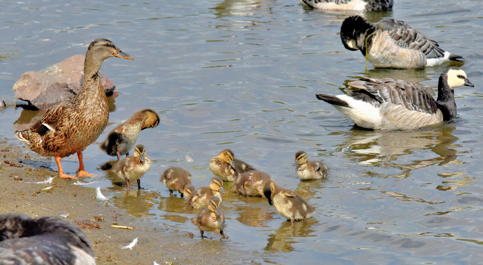 Valokuvaaja: Reijo Juurinen