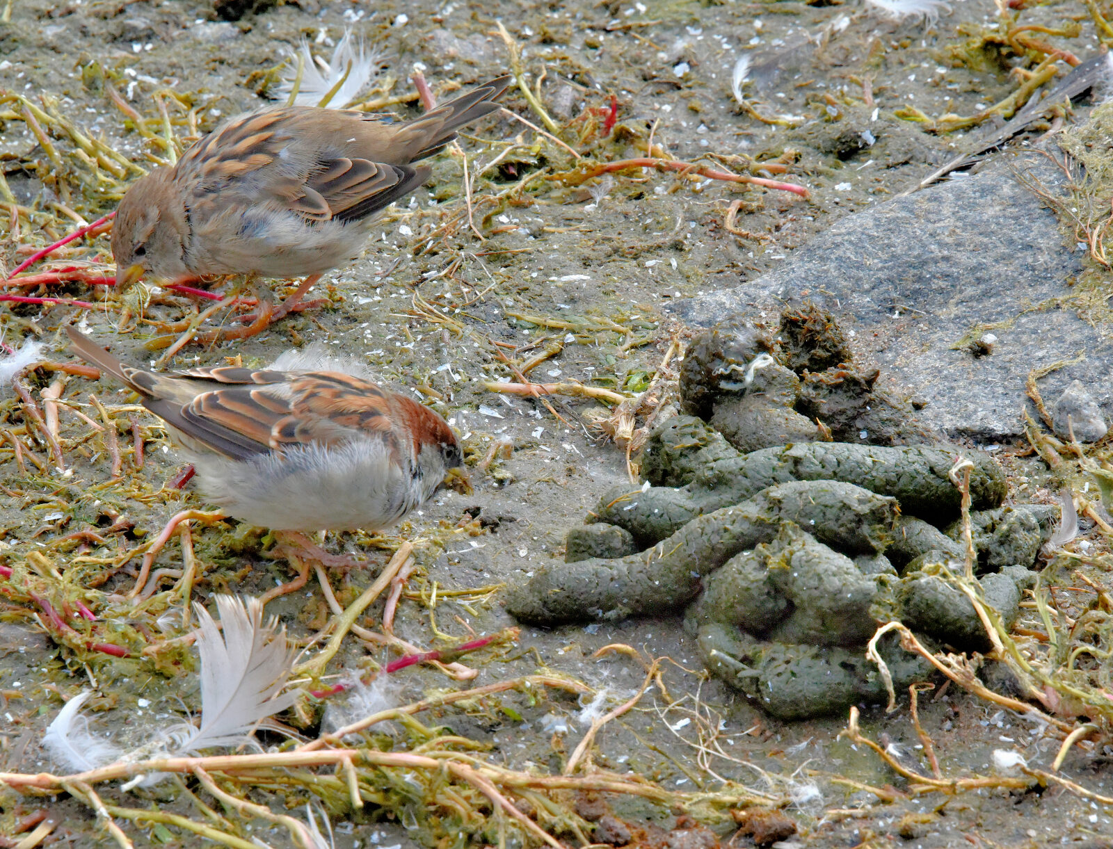 Valokuvaaja: Reijo Juurinen