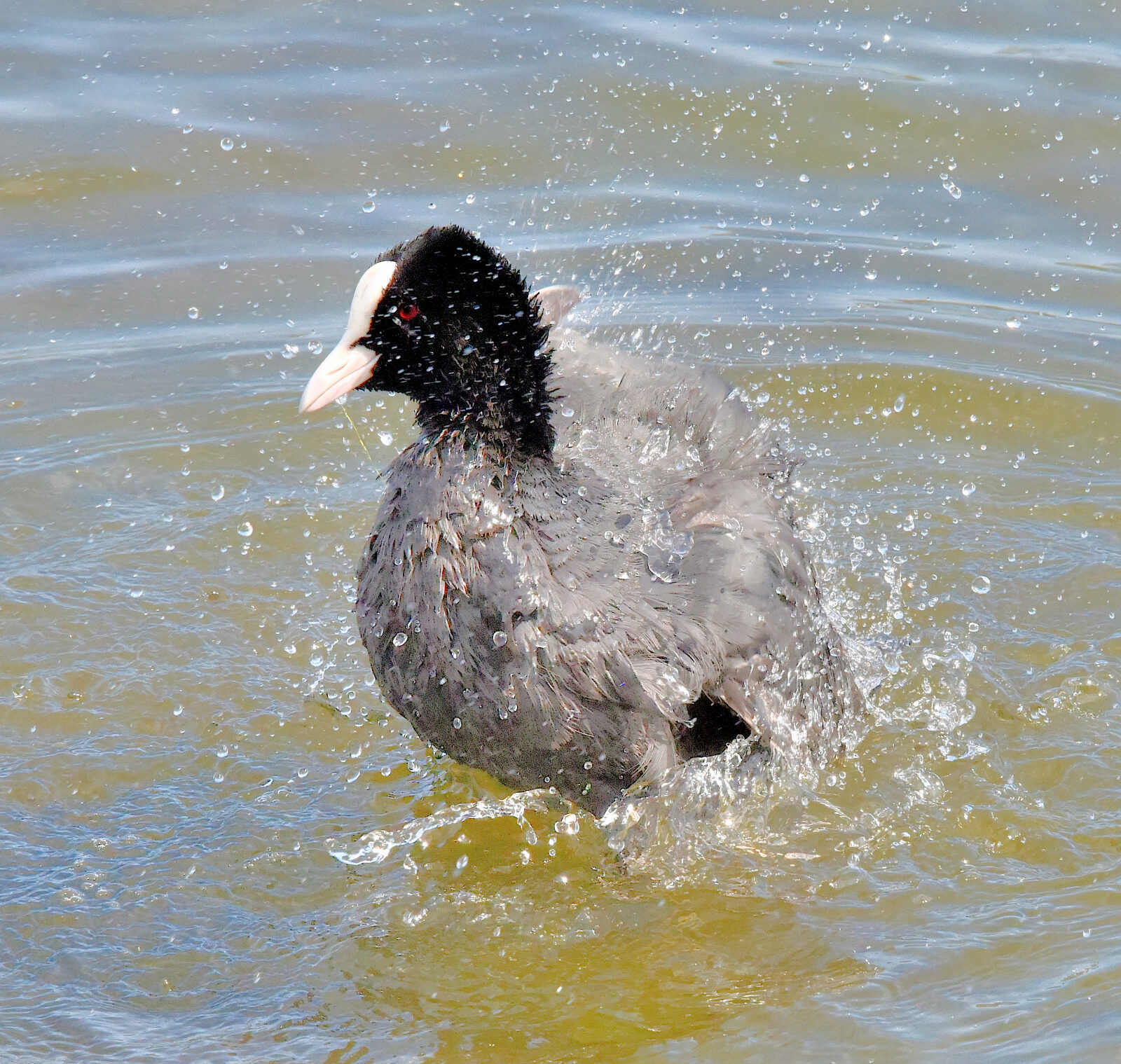 Valokuvaaja: Reijo Juurinen