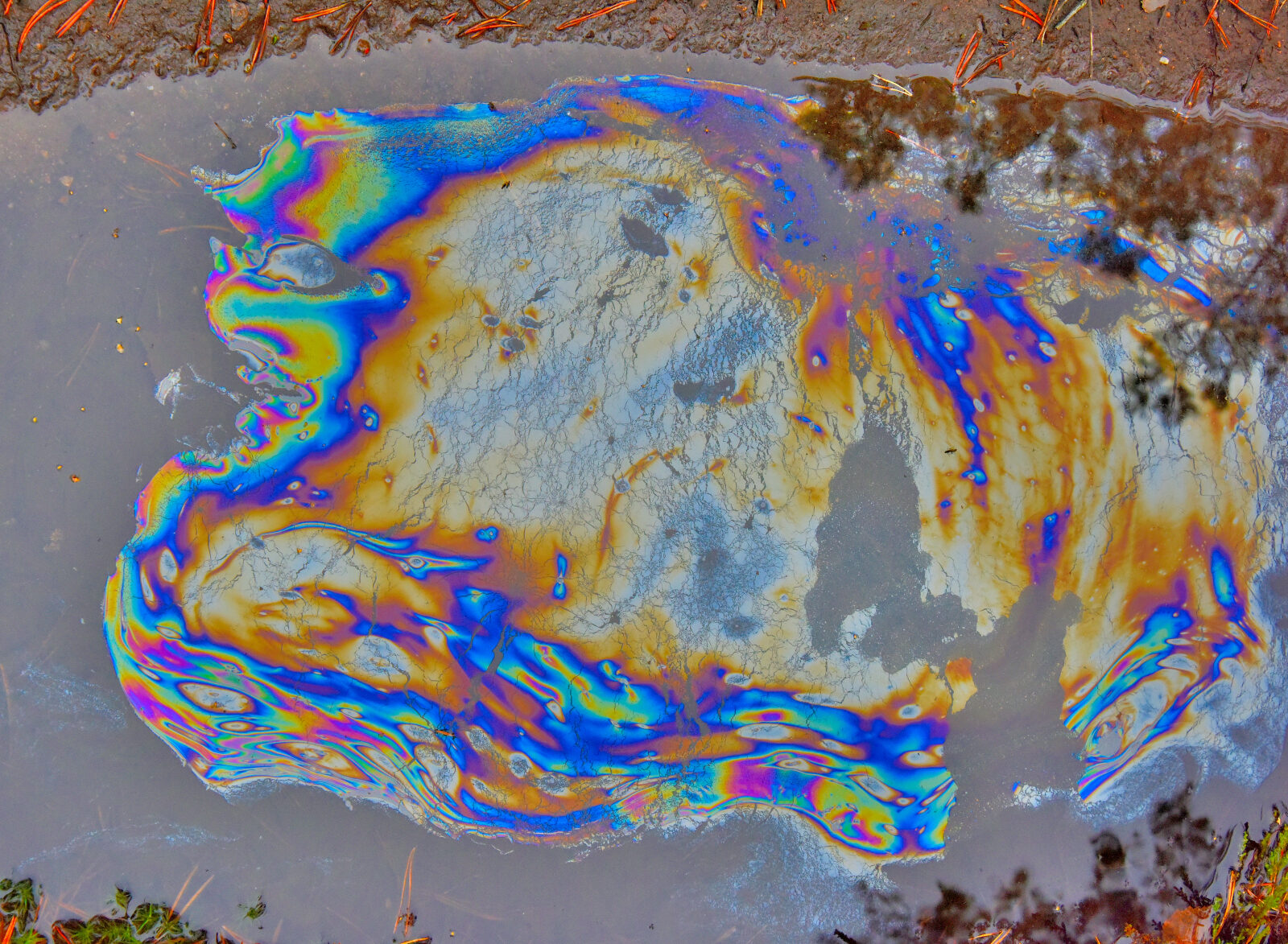 Valokuvaaja: Reijo Juurinen