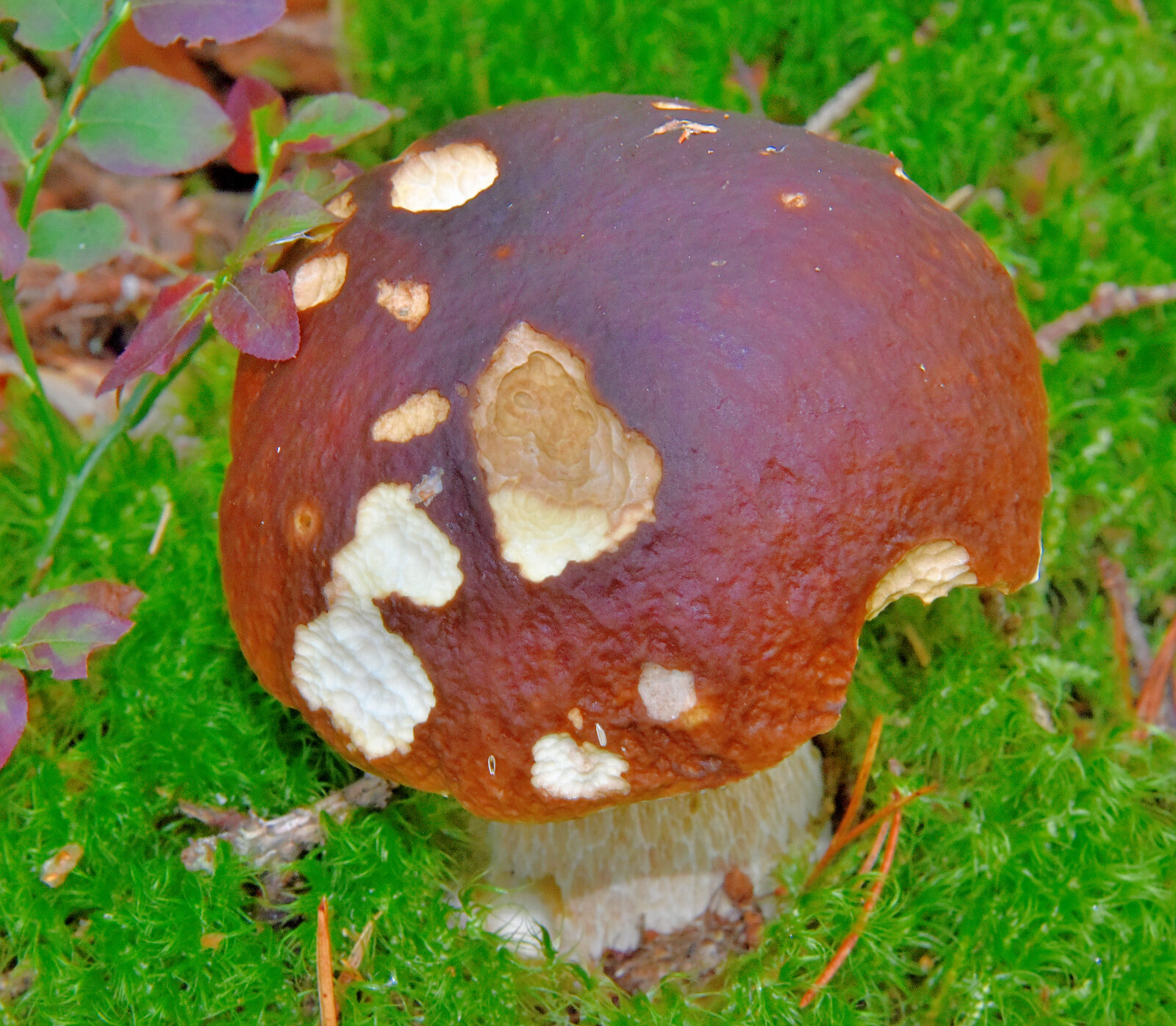 Valokuvaaja: Reijo Juurinen