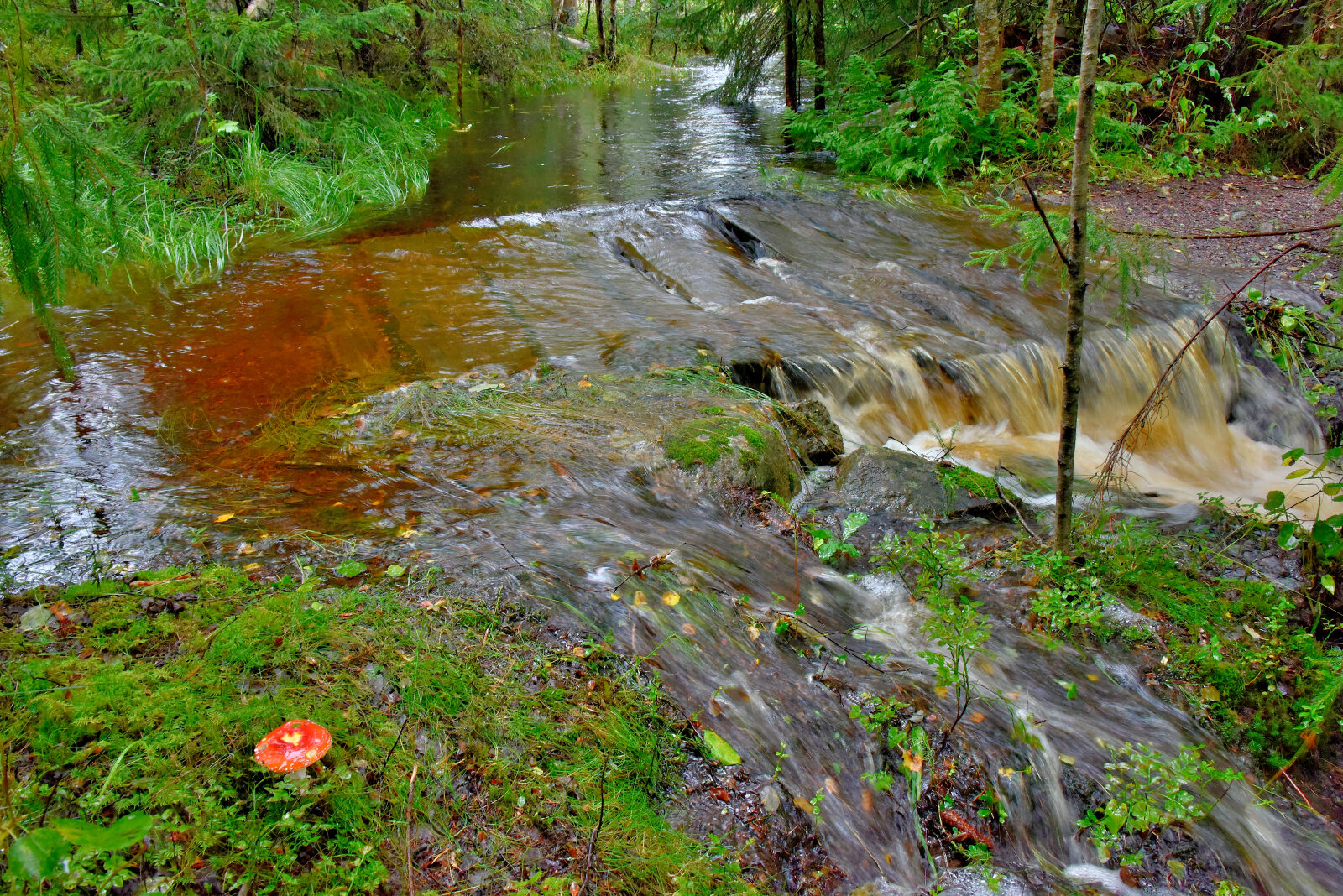 Valokuvaaja: Reijo Juurinen