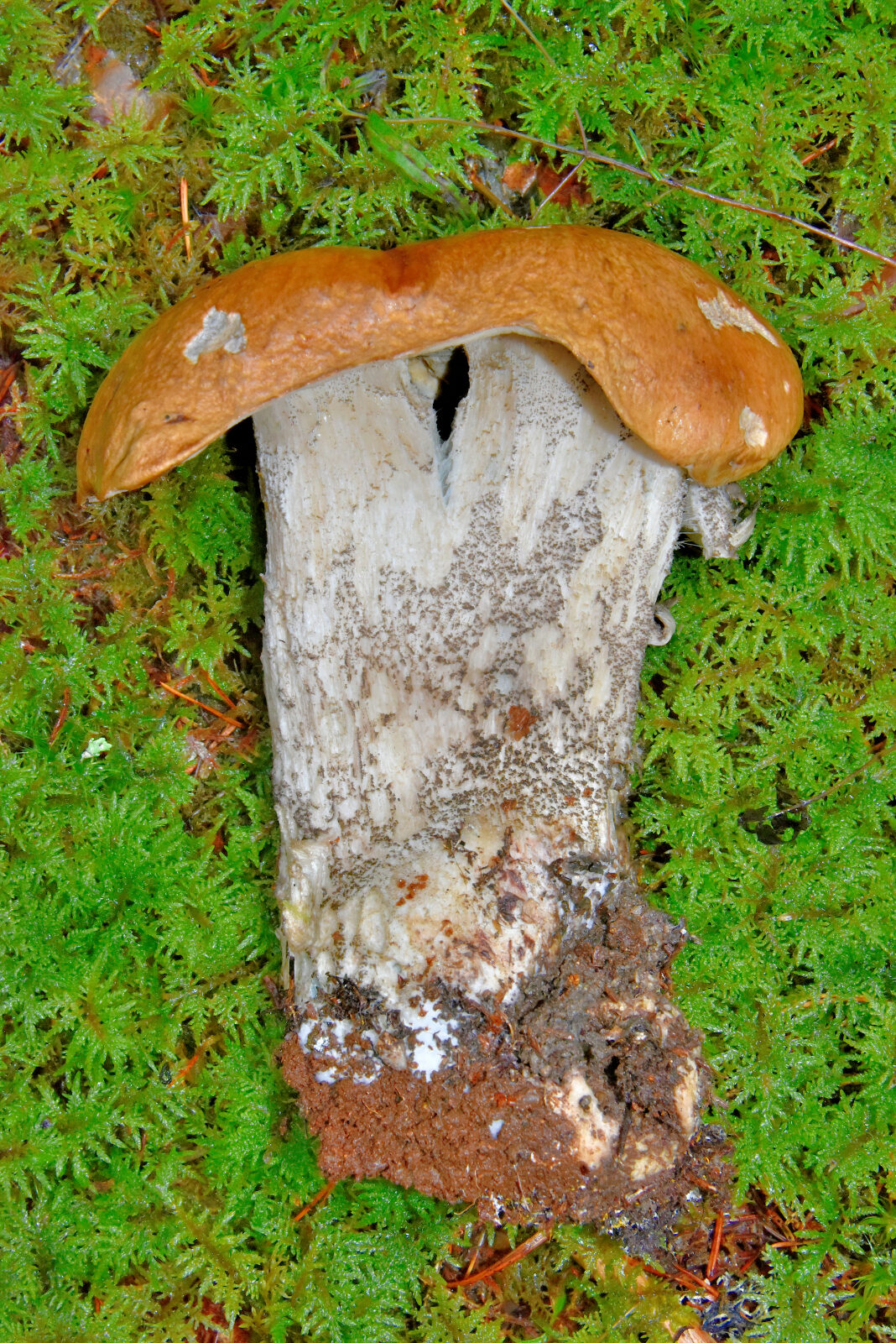 Valokuvaaja: Reijo Juurinen