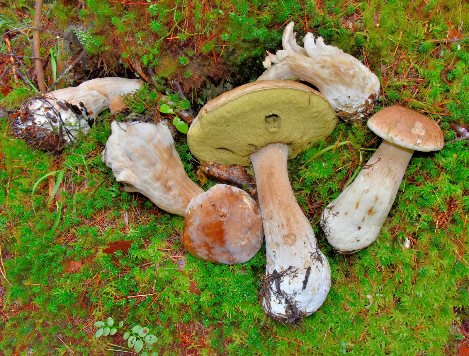 Valokuvaaja: Reijo Juurinen