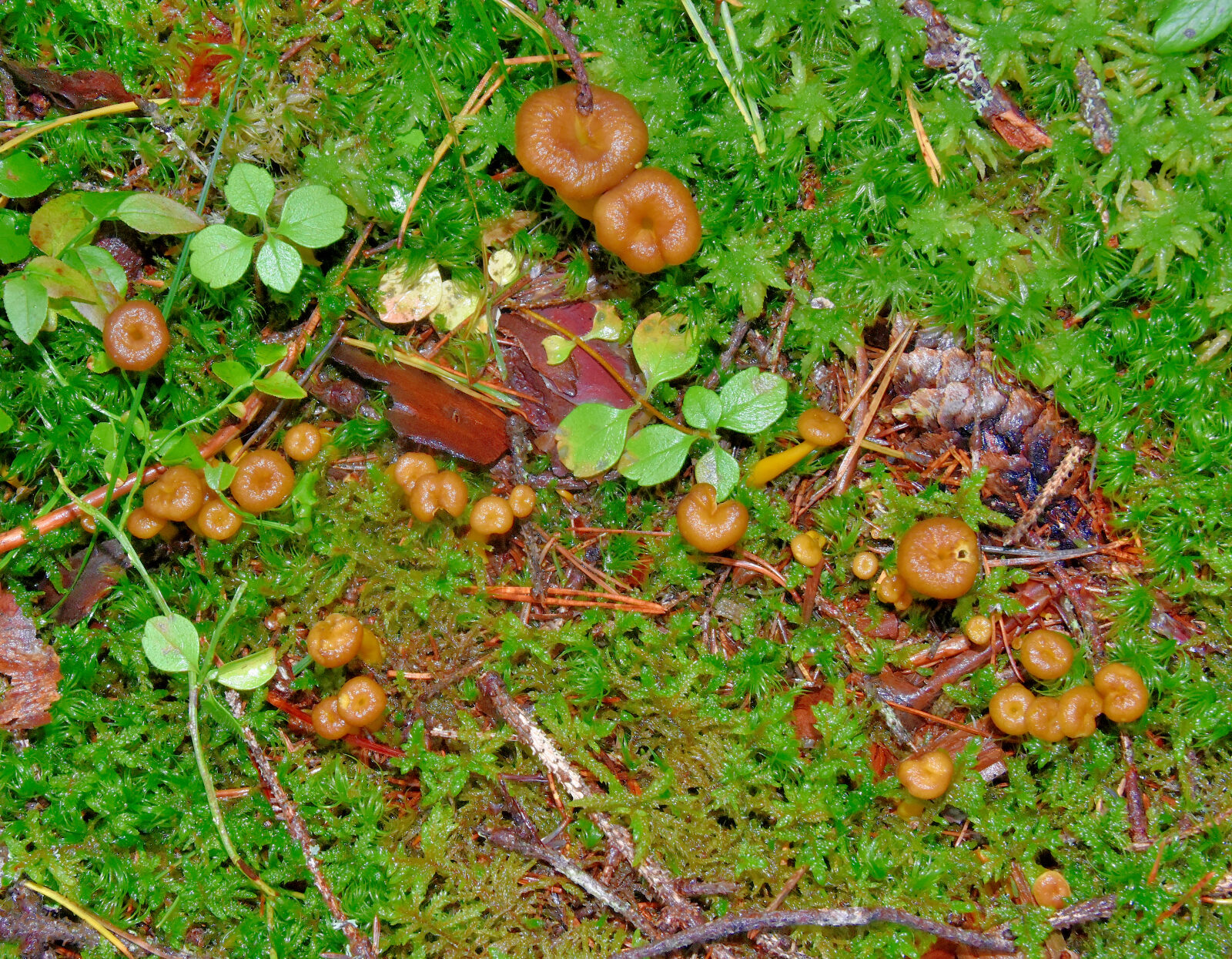 Valokuvaaja: Reijo Juurinen