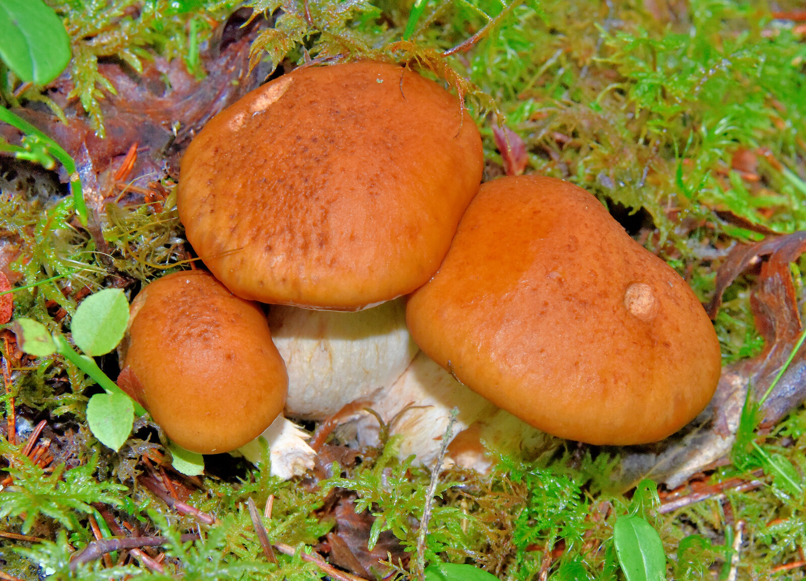 Valokuvaaja: Reijo Juurinen