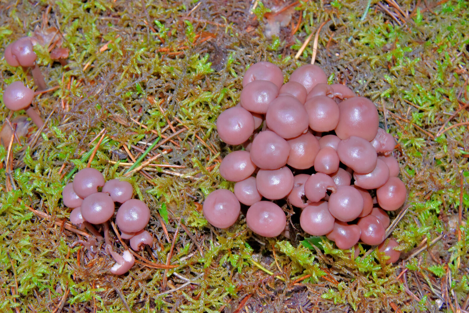 Valokuvaaja: Reijo Juurinen