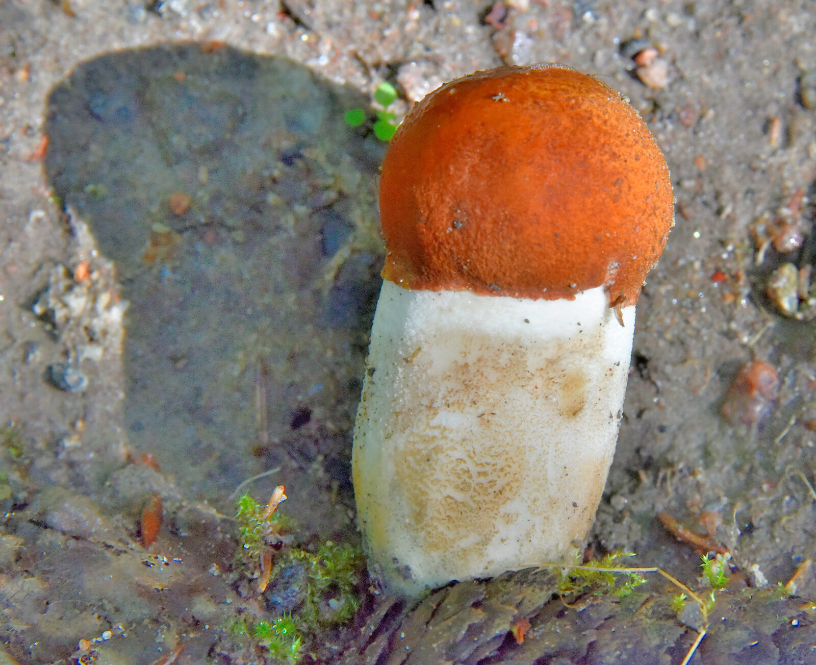 Valokuvaaja: Reijo Juurinen