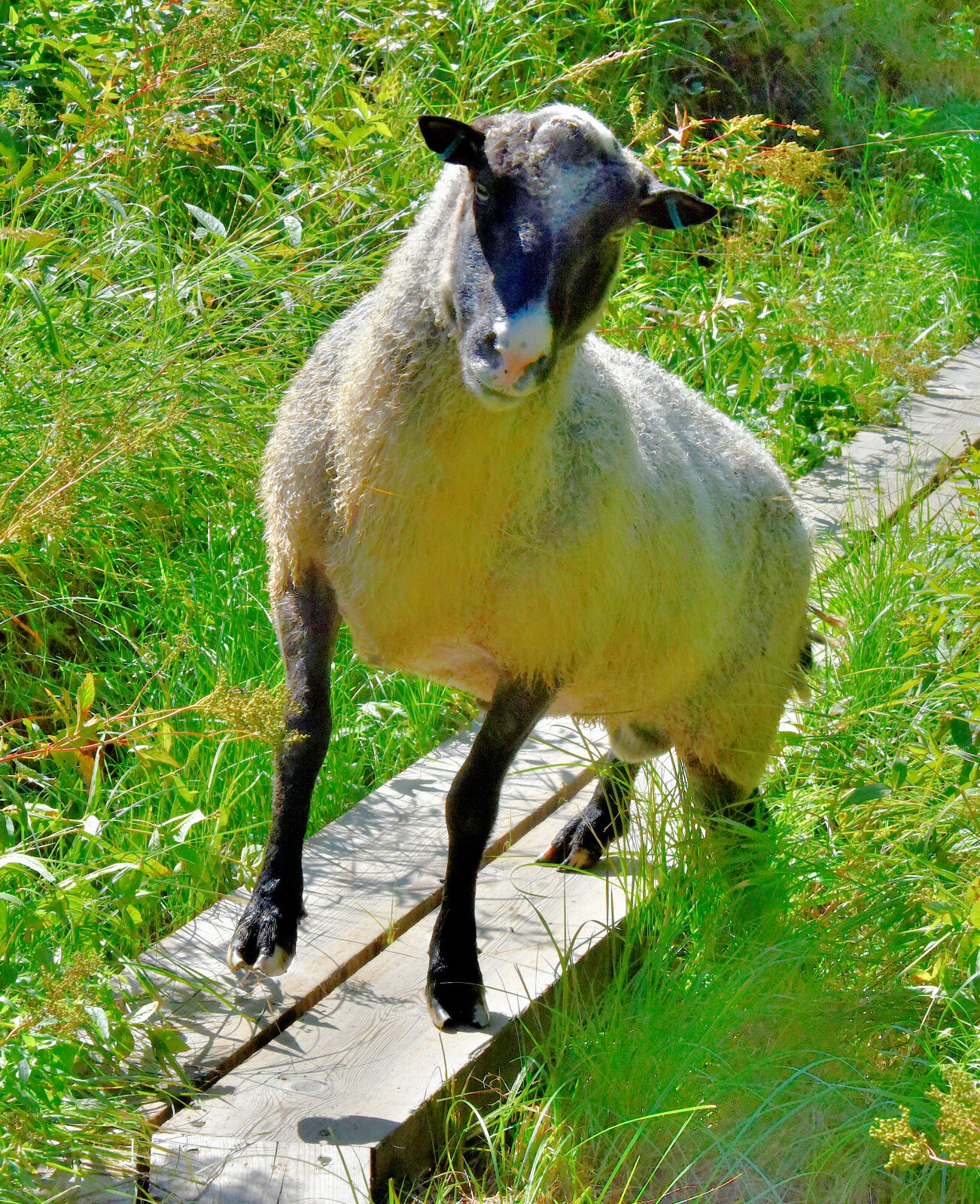 Valokuvaaja: Reijo Juurinen Valokuvaaja: Reijo Juurinen
