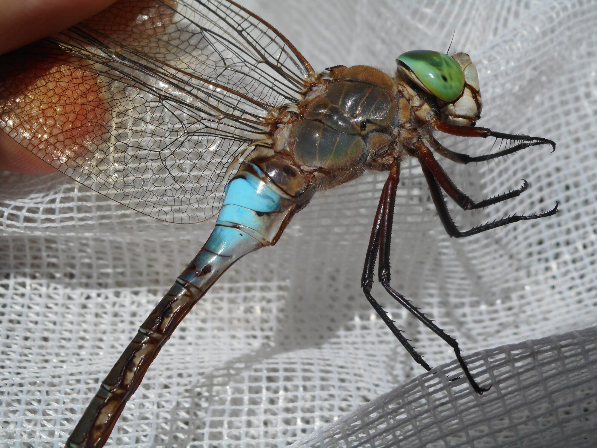 Valokuvaaja: Kalle Selin