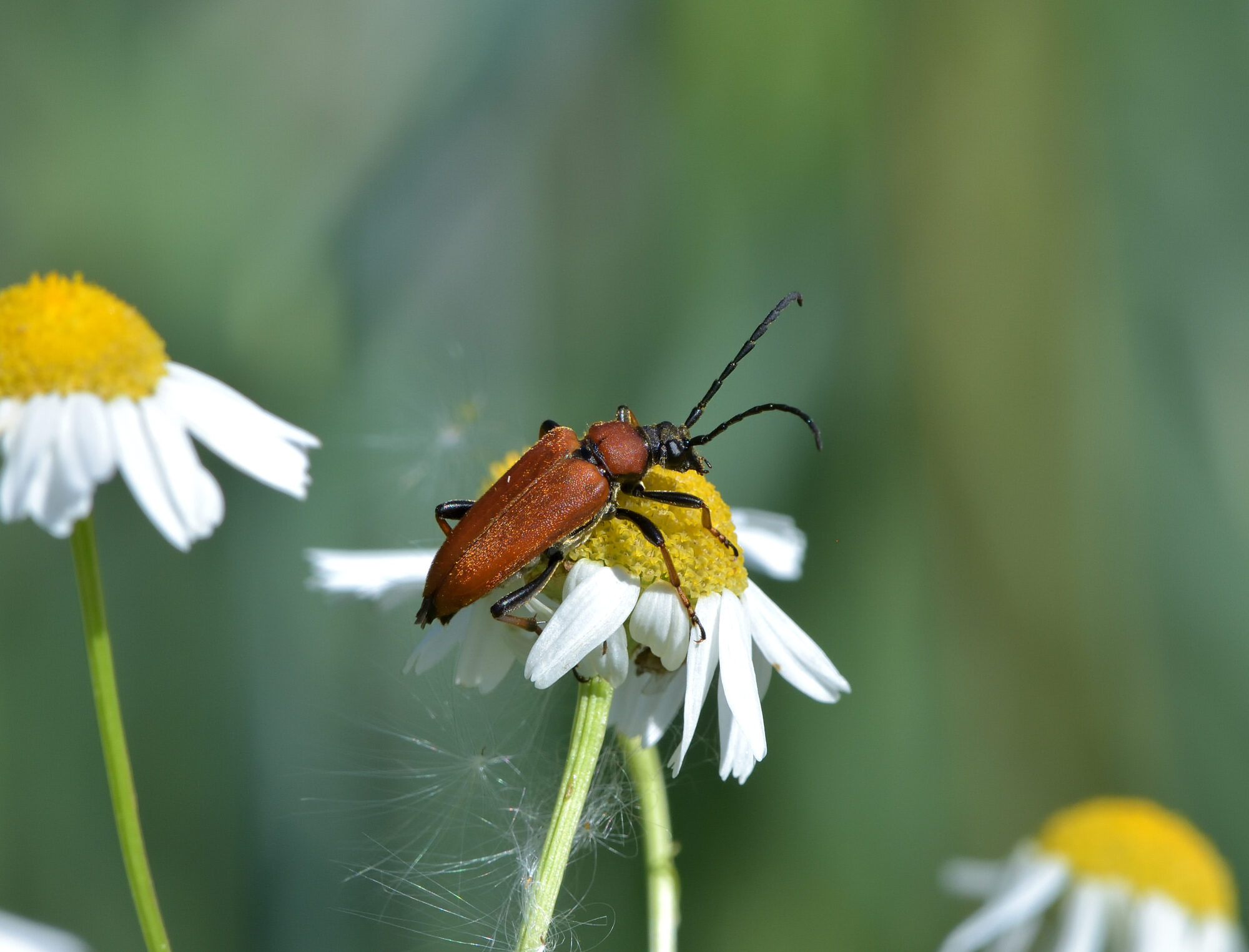 Valokuvaaja: Asko Heikkinen