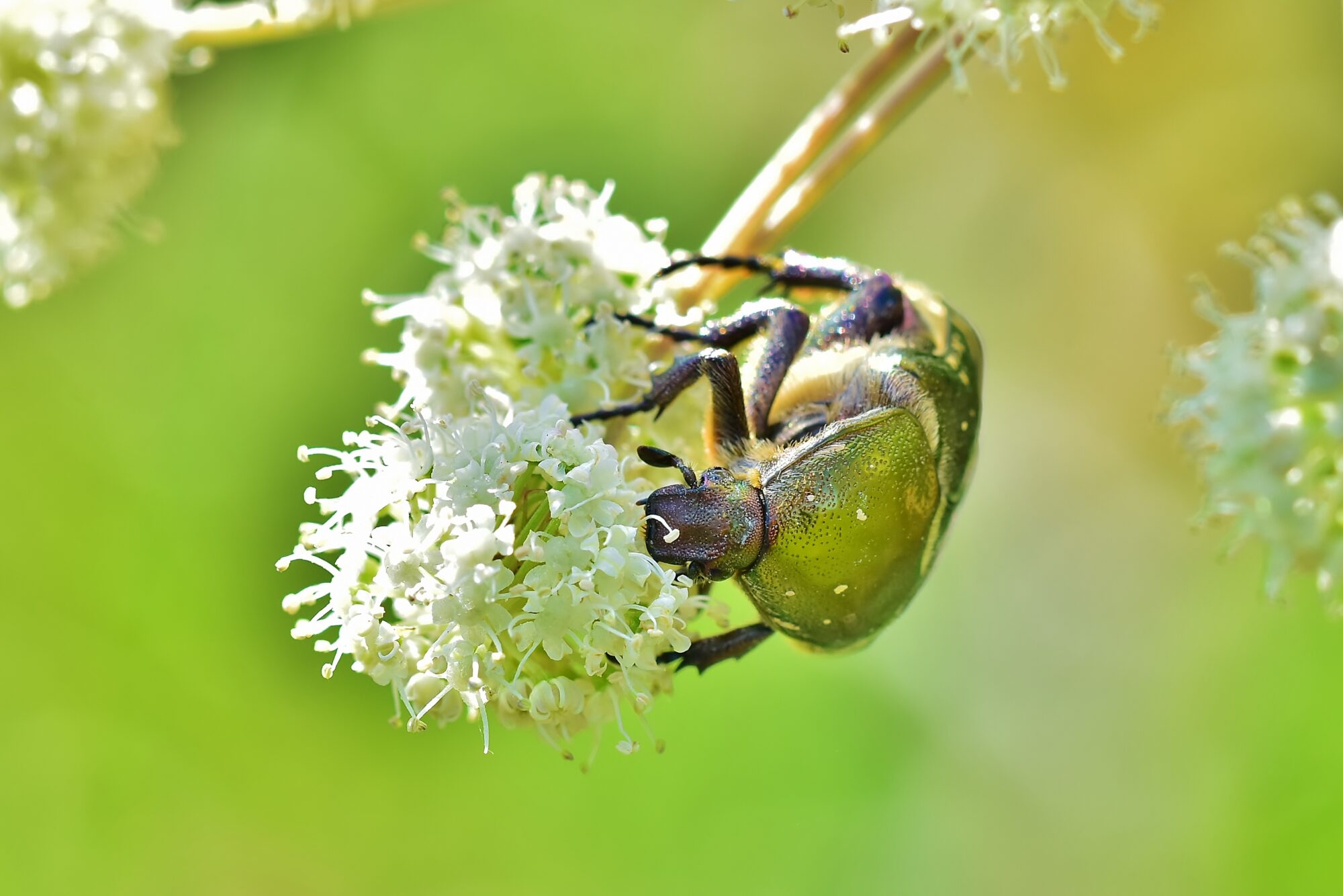 Valokuvaaja: Markku Pelkonen