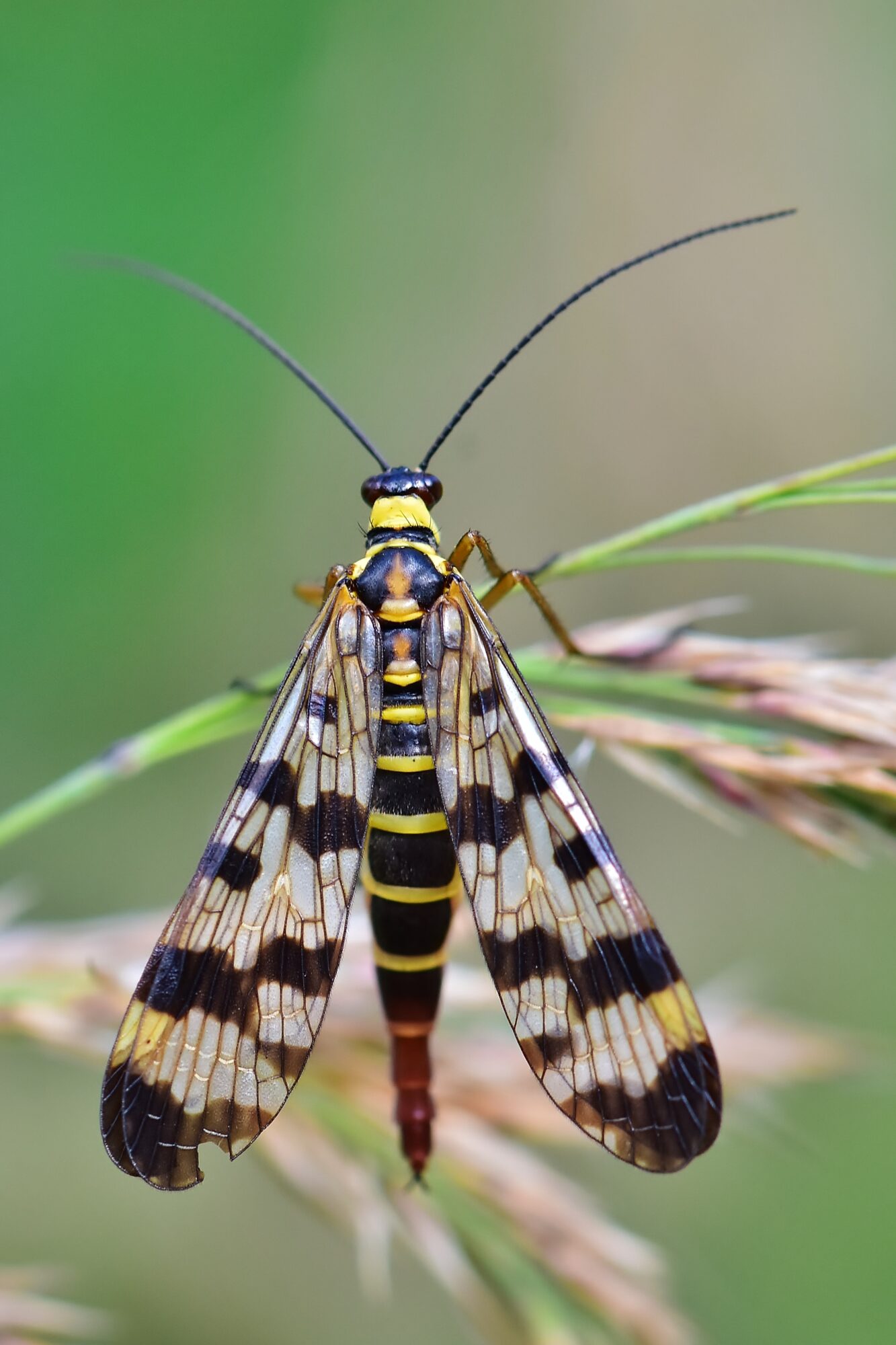 Valokuvaaja: Markku Pelkonen Valokuvaaja: Markku Pelkonen