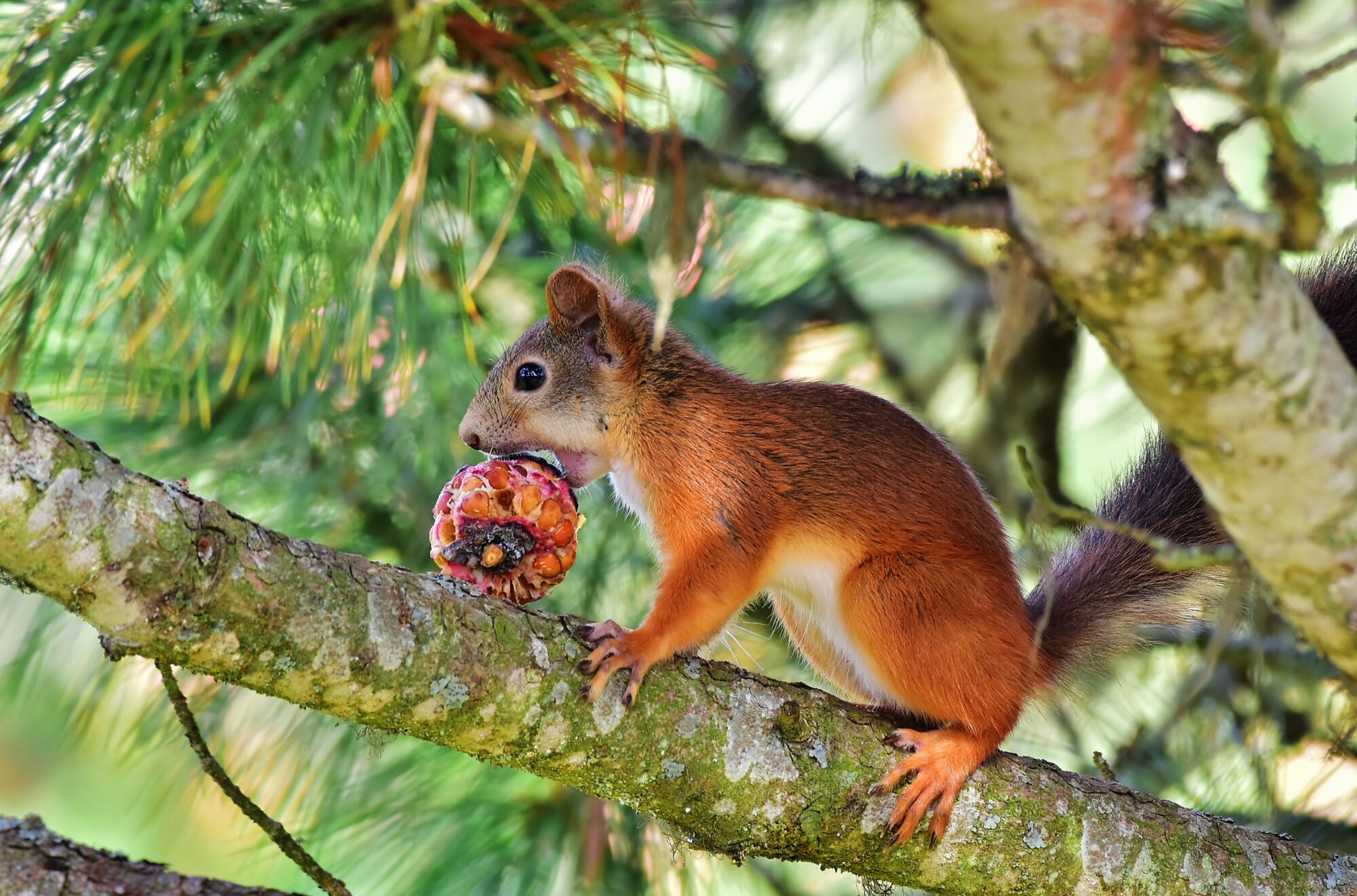 Valokuvaaja: Markku Pelkonen