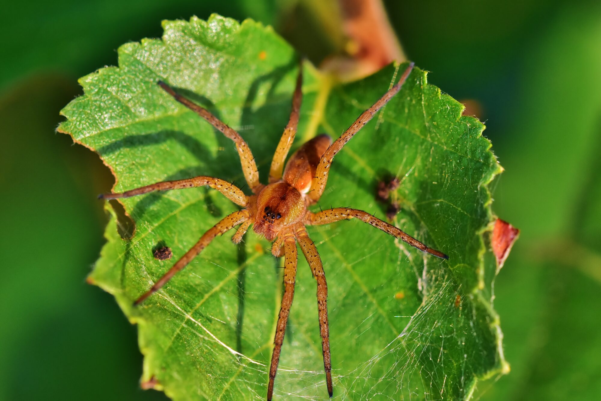 Valokuvaaja: Markku Pelkonen