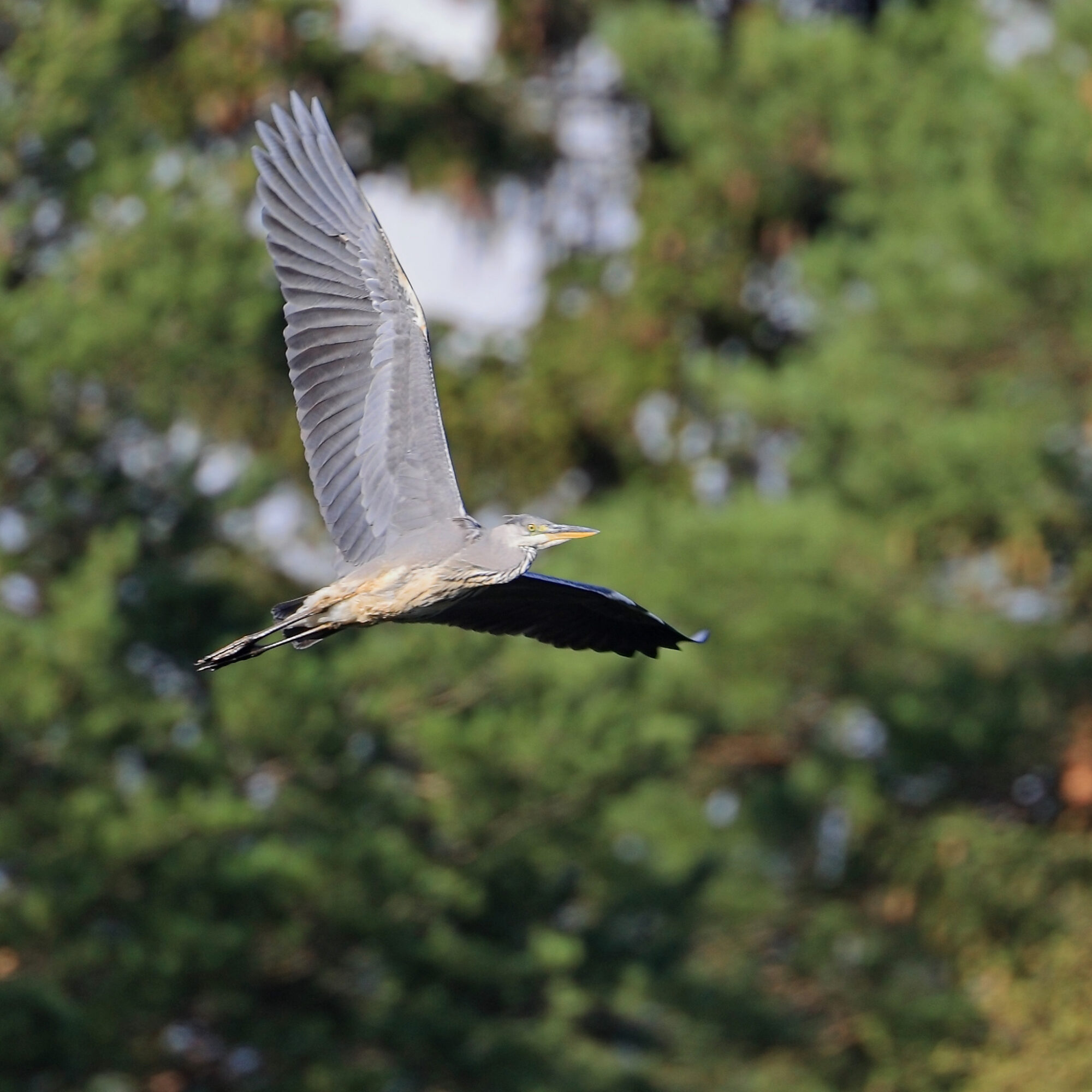 Valokuvaaja: Ari Branthin