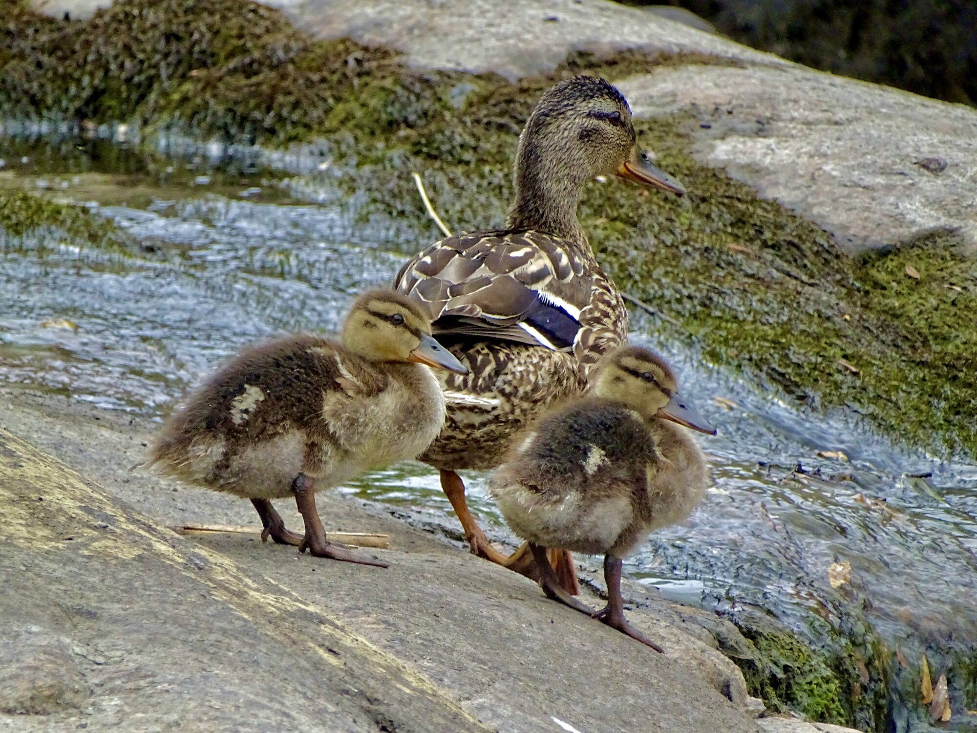 Valokuvaaja: Juhani Peltonen