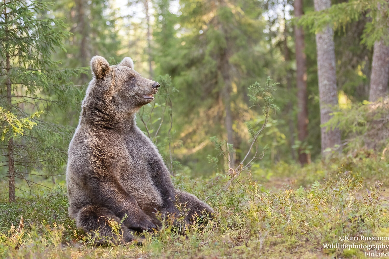 Valokuvaaja: Kari Rossinen