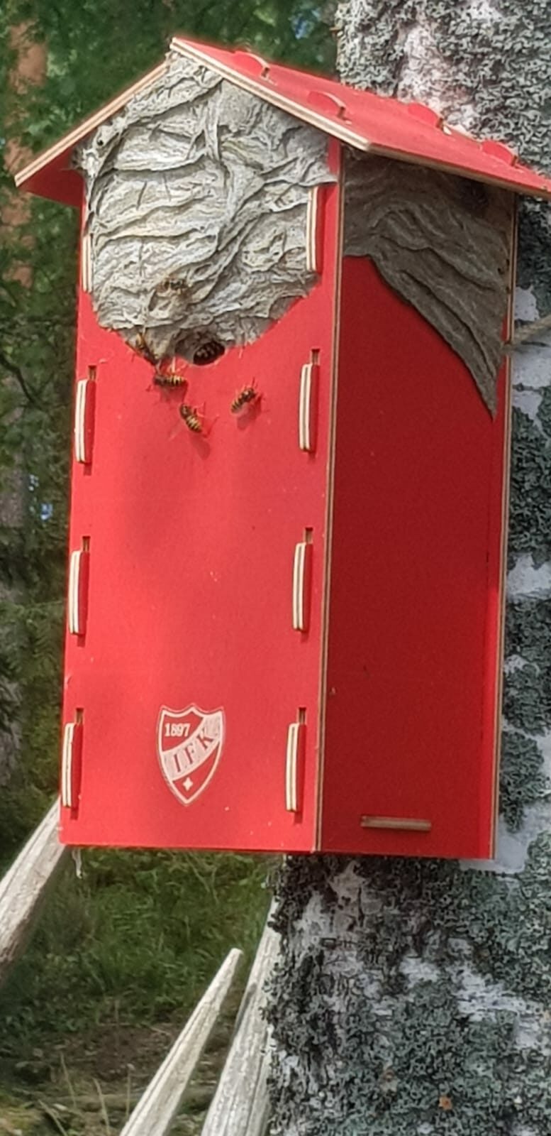 Valokuvaaja: Leena Fontell