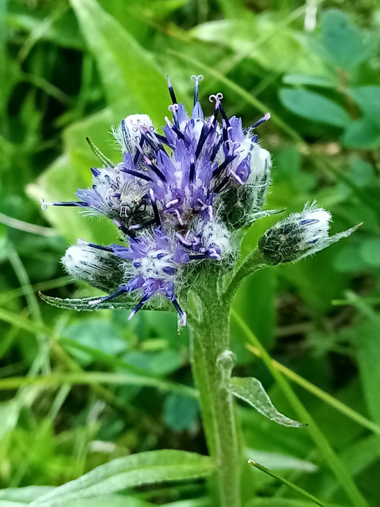 Valokuvaaja: Virva Guttorm