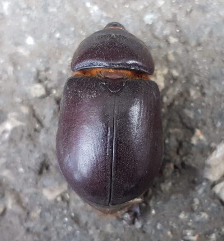 Valokuvaaja: Maarit Pietiläinen/Pasi Kuronen