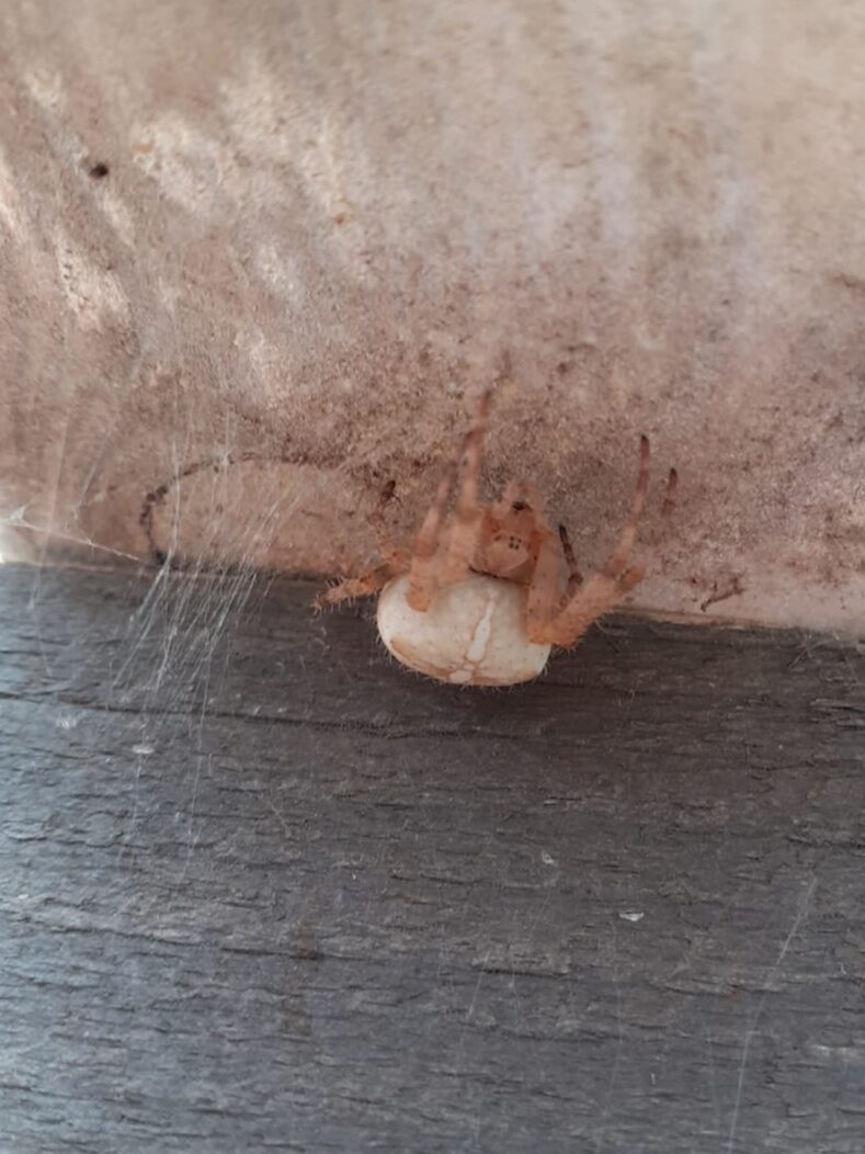 Valokuvaaja: Maarit Pietiläinen/Arja ja Erkki Mäkitalo