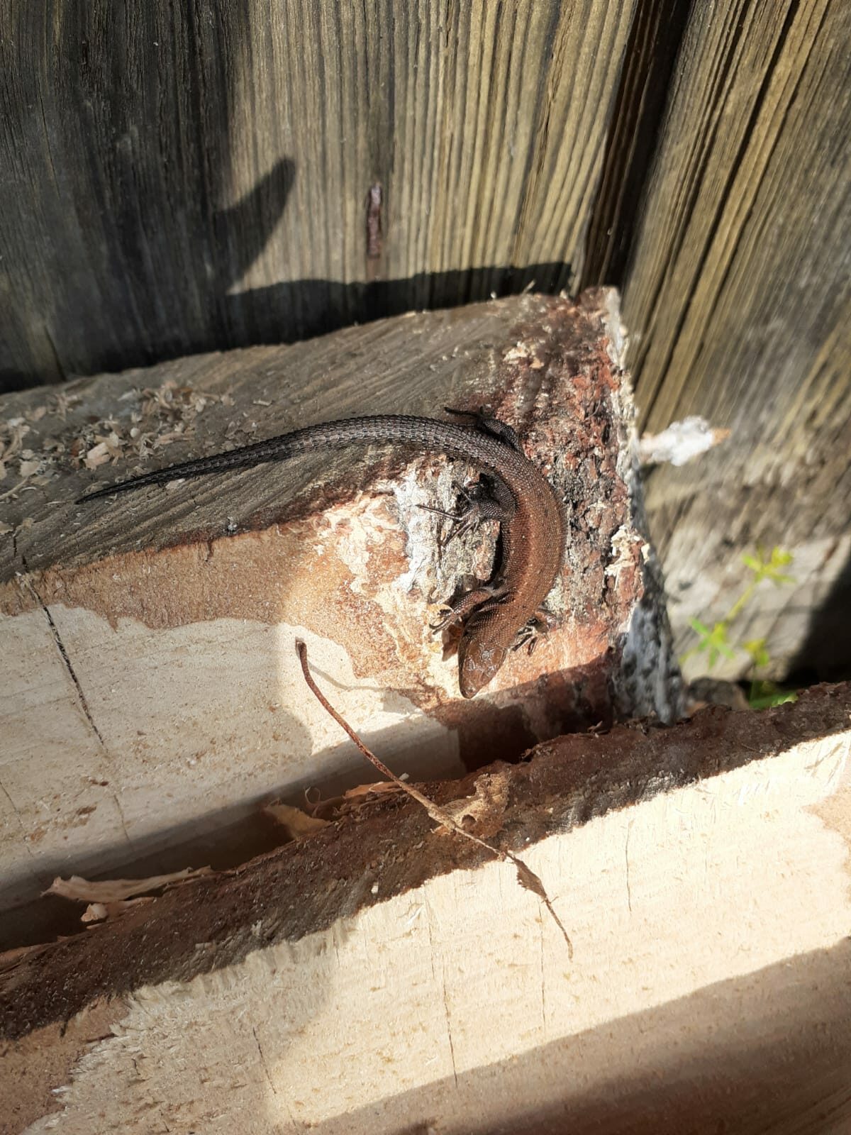 Valokuvaaja: Maarit Pietiläinen, Arja ja Erkki Mäkitalo