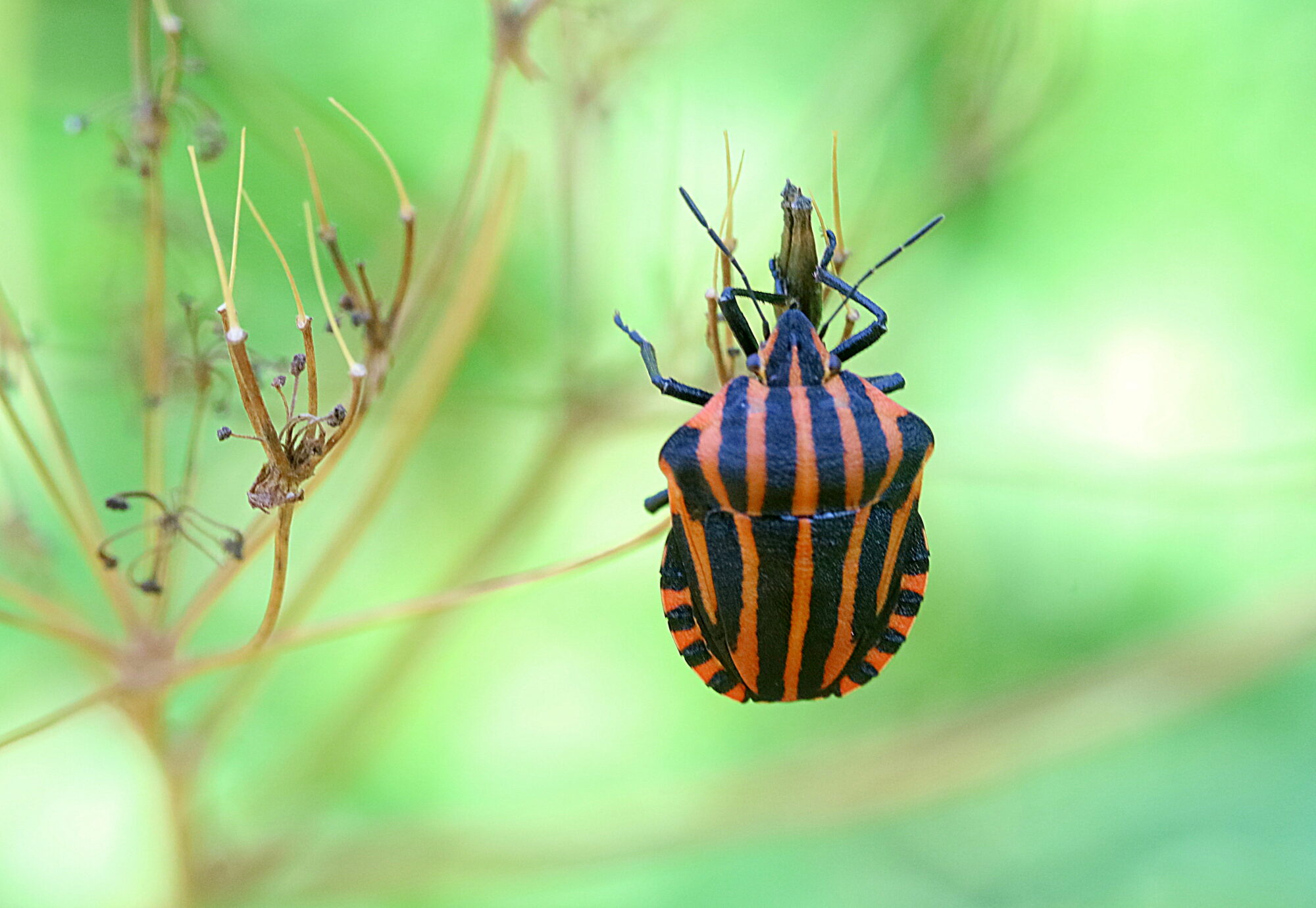 Valokuvaaja: Hannu Rasiranta