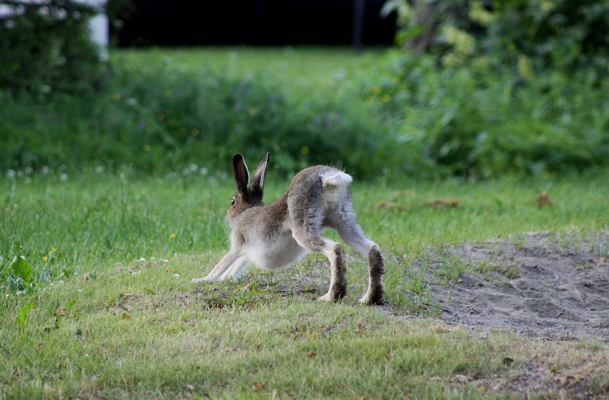 Valokuvaaja: Pirkko Siukonen