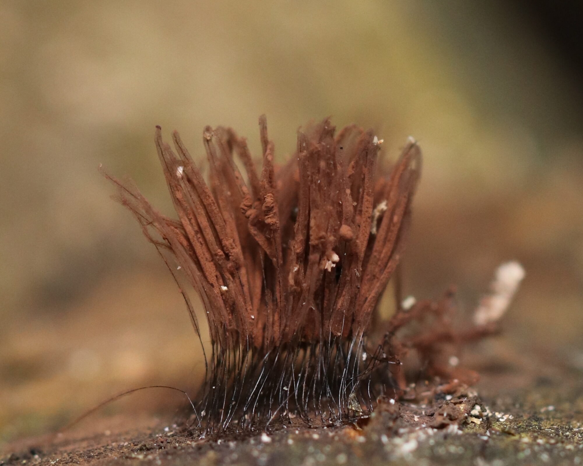 Valokuvaaja: Eija Soimola