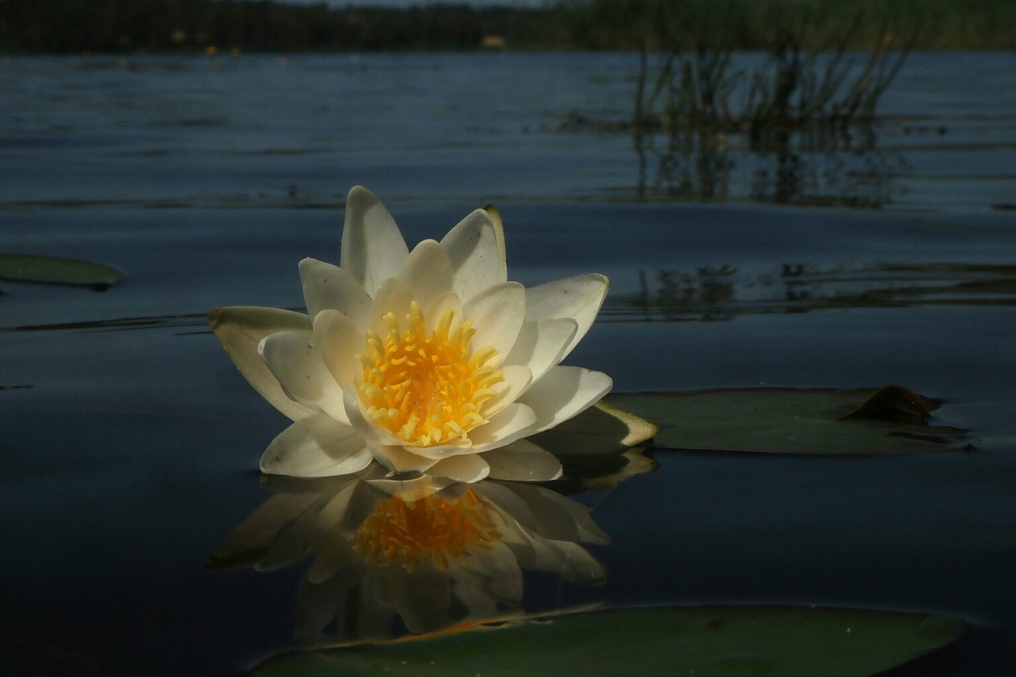 Valokuvaaja: Mikkola Irma
