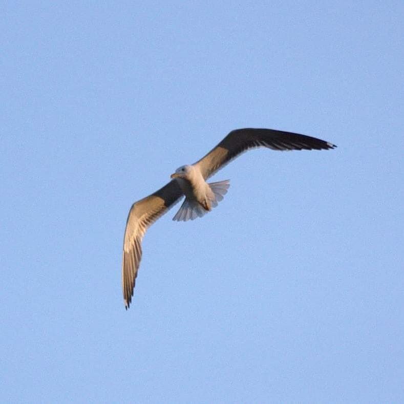 Valokuvaaja: Tapio Keinonen